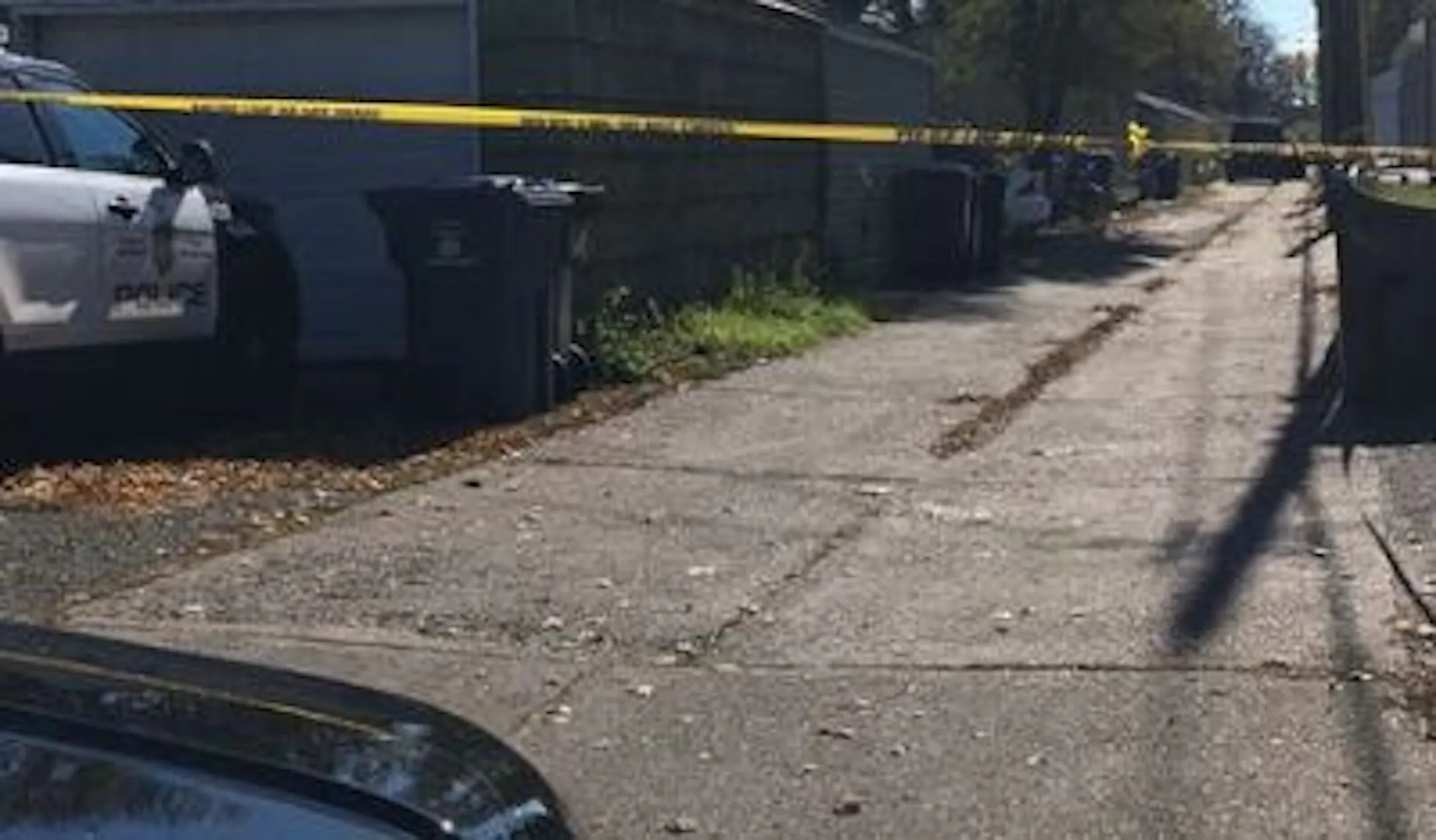 Man shot dead in north Minneapolis alley is identified