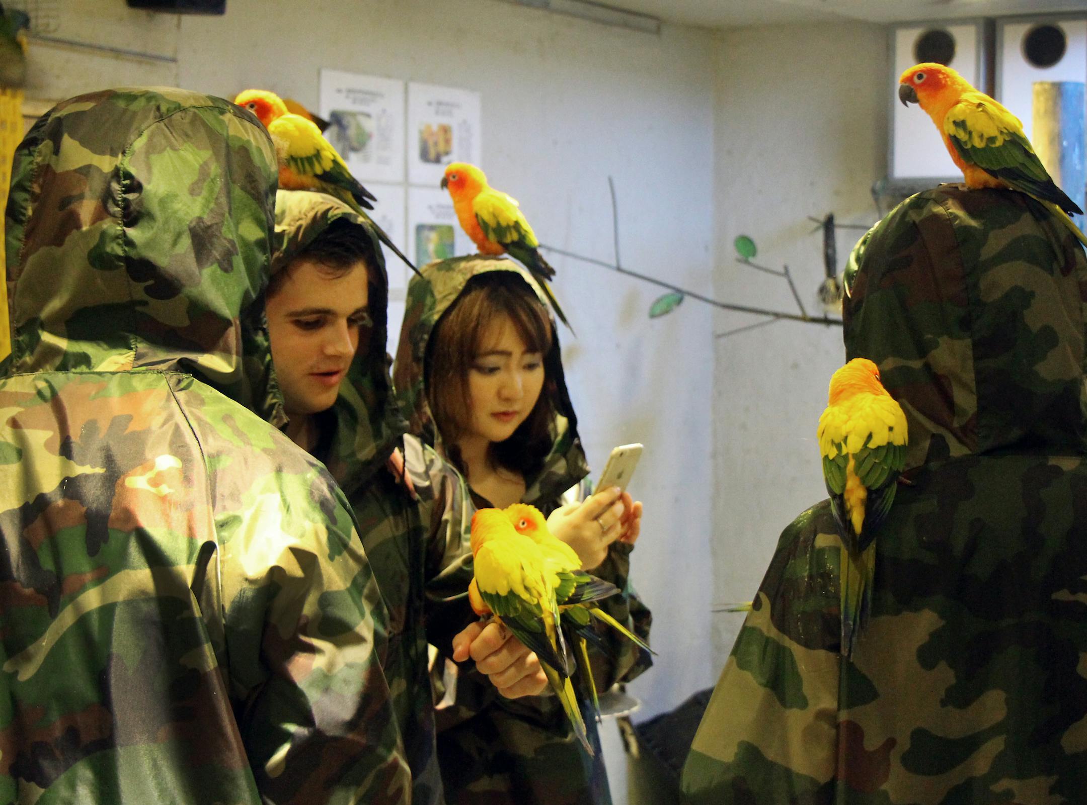 Poncho-wearing visitors become parrot perches at the Tori No Iru bird cafe. ORG XMIT: 96.0.1213602349