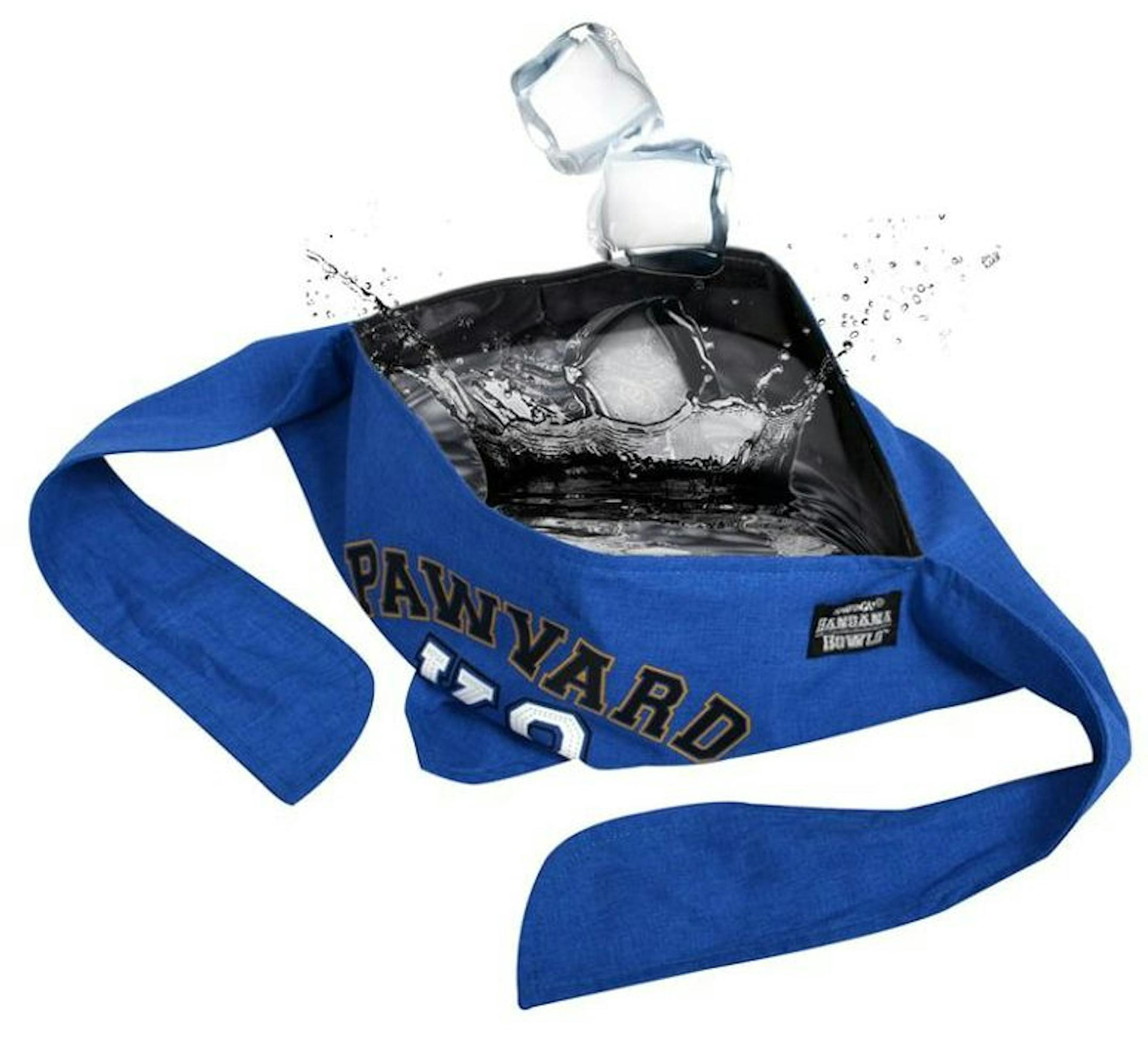The Bandana Bowl product was created by inventor A.J. Dewey. Dewey holds the rights to the invention and revived the patent while working for Animaganza, according to court documents.
