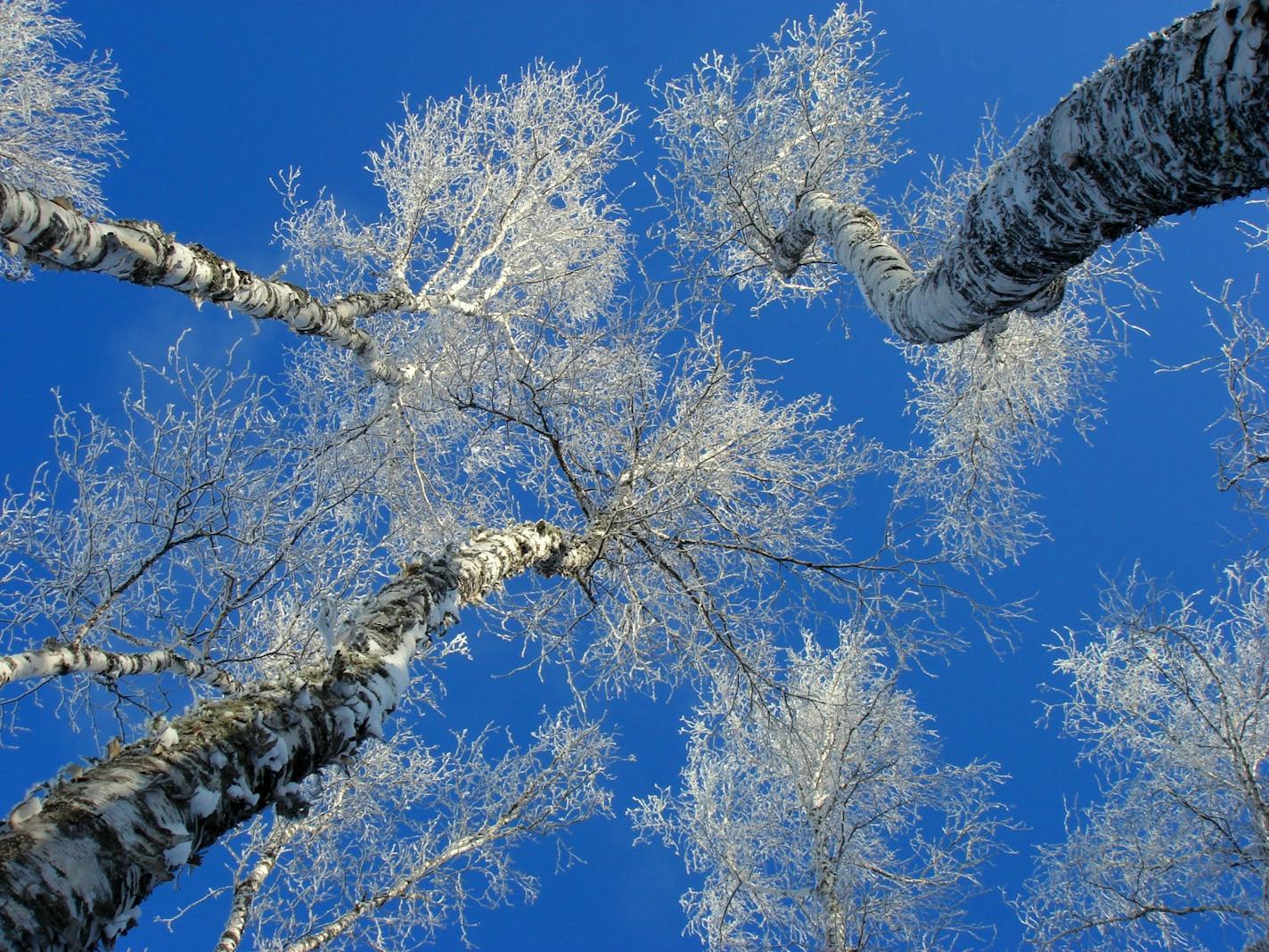 Grand Marais in winter.