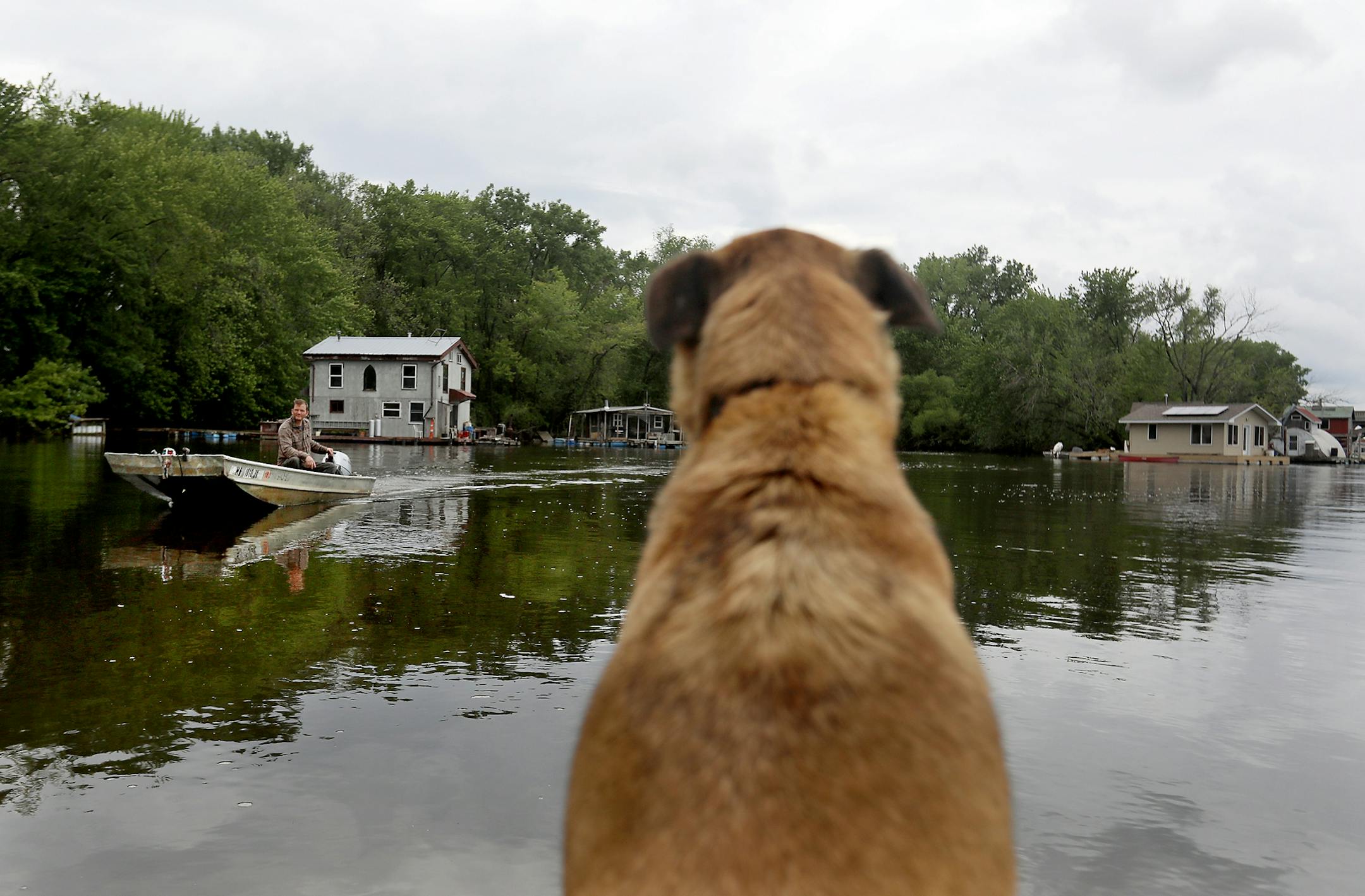 Moses Simon, a Winona boathouse owner, who was born in his family's boathouse on the Mississippi moved away when he was four but the allure of the river has drawn him back. Now the owner of his family's old boathouse, Simon, not visible, and his dog Arya boated past neighbor Gerty Tonjum on the Mississippi River Wednesday, June12, at the boathouse community in Winona, MN.