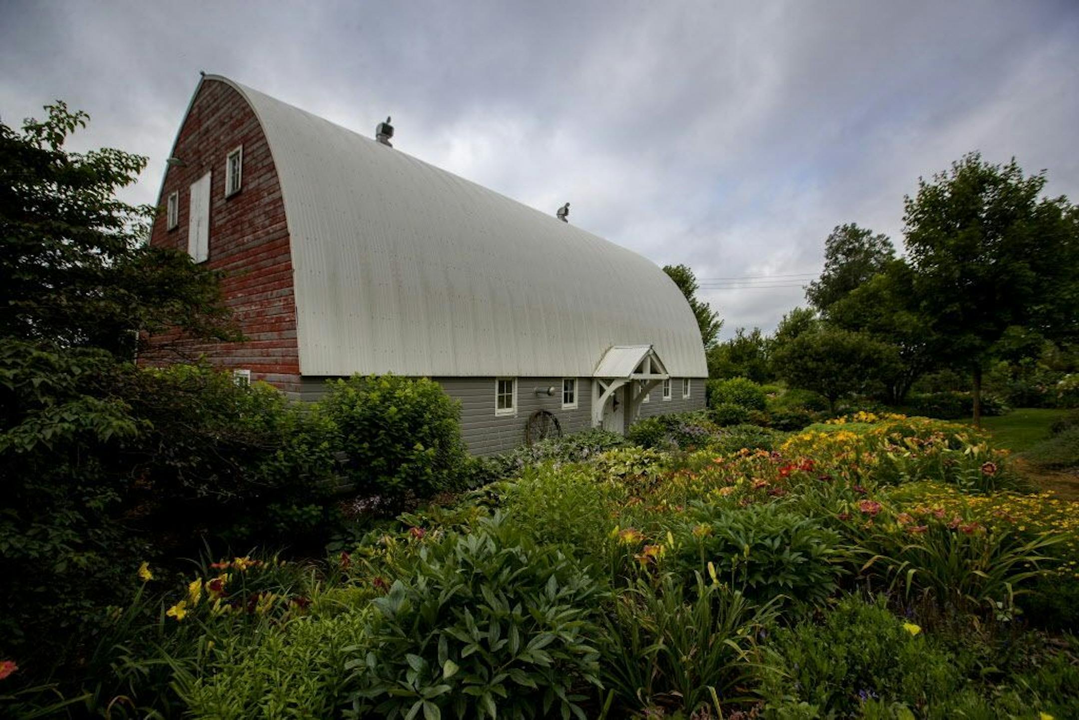 A daylily garden next to a cow milking barn on the Cokato poroperty..