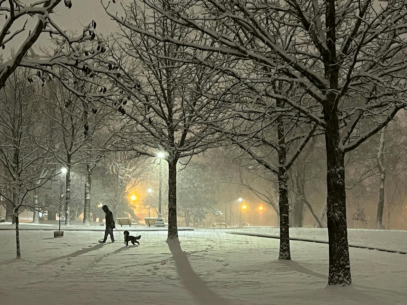 A person and their dog walking through the snow at Father Hennepin Park in Minneapolis.