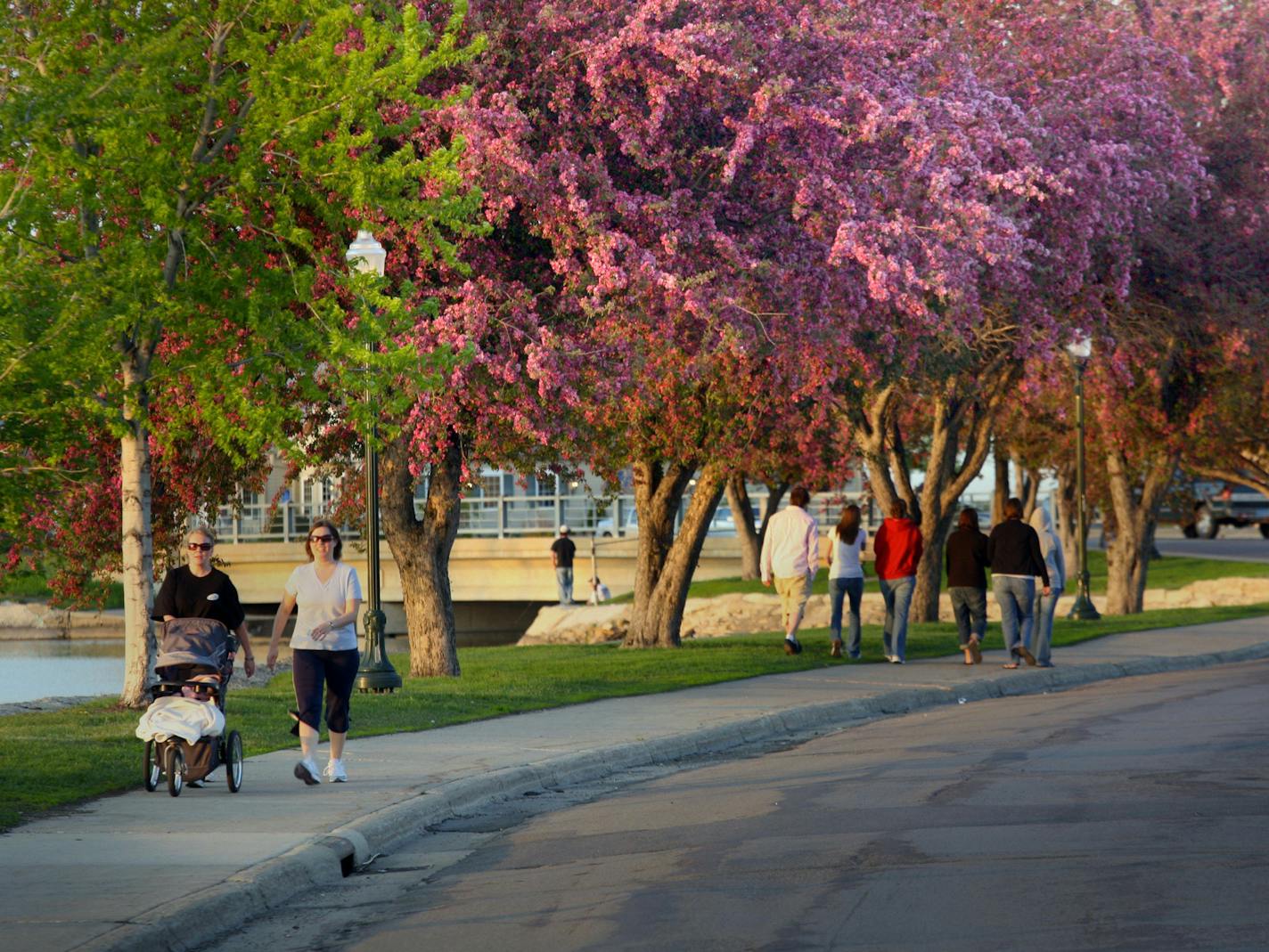 Albert Lea encouraged residents to live healthier lives as part of a Blue Zones project five years ago. Since then walking is up for than 70 percent and more than a dozen walking and biking groups continue to thrive in the city. Photo provided by Blue Zone