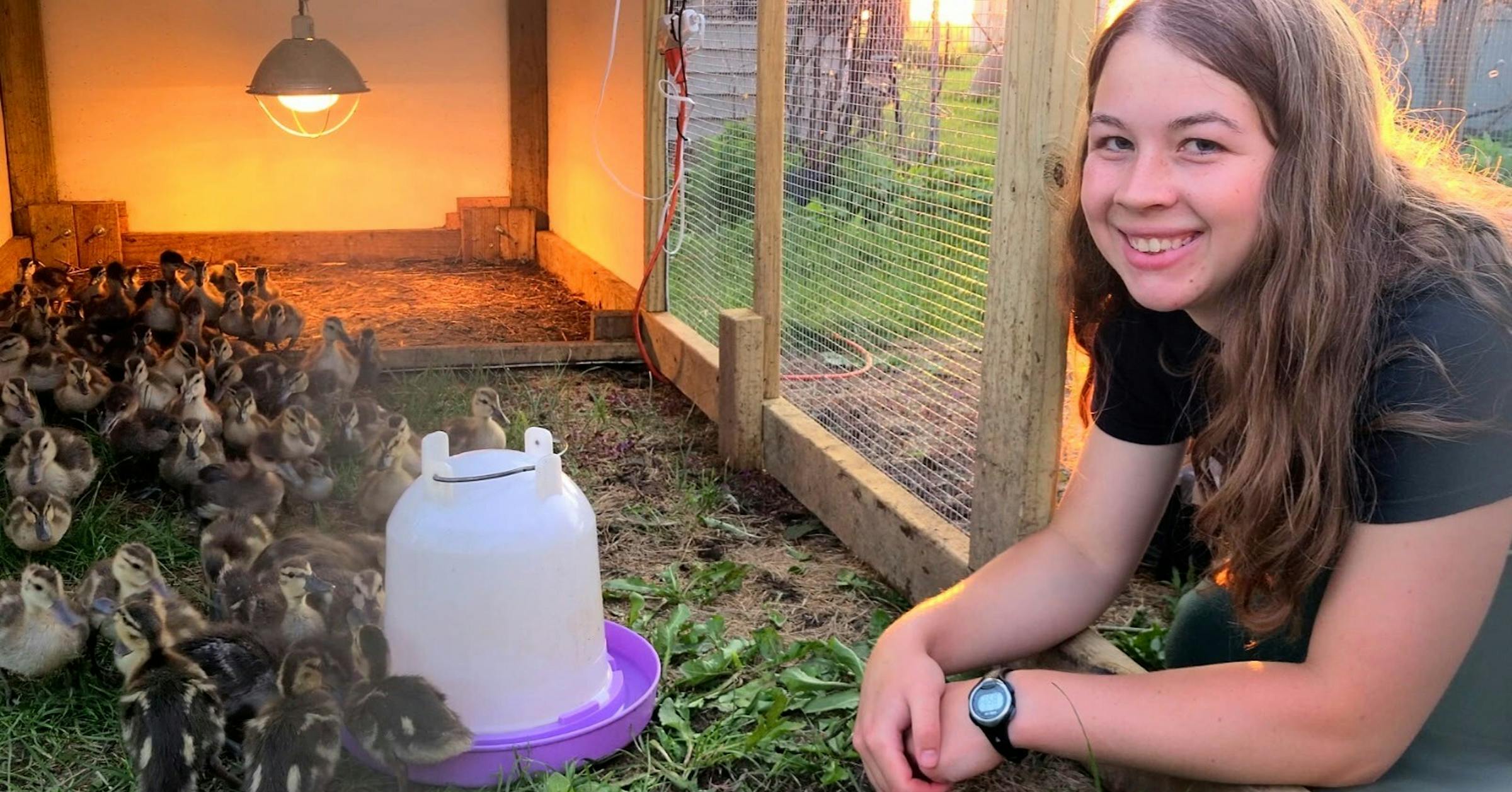 Anderson: She has painted ducks; now she is saving them