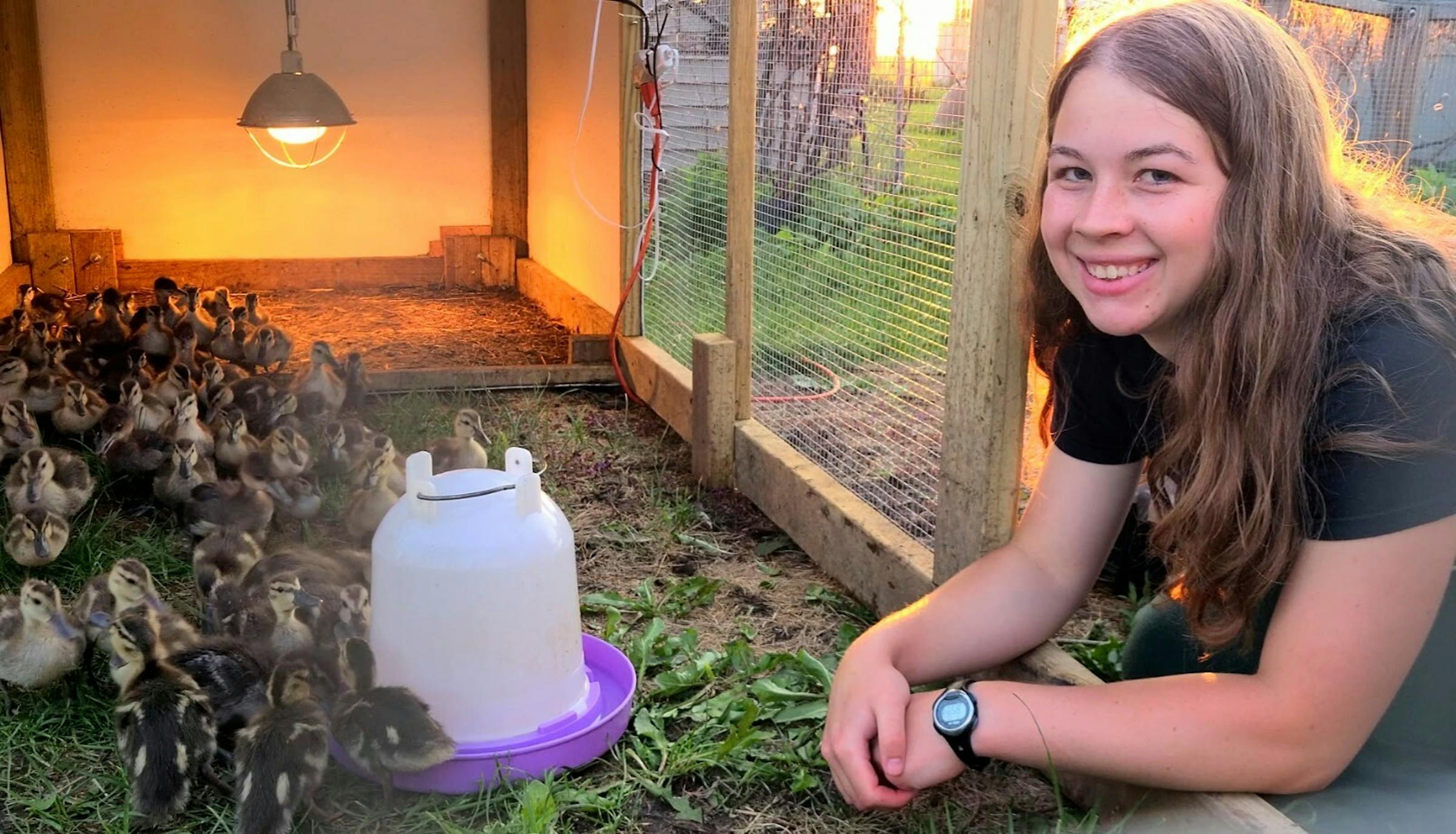 Anderson: She has painted ducks; now she is saving them