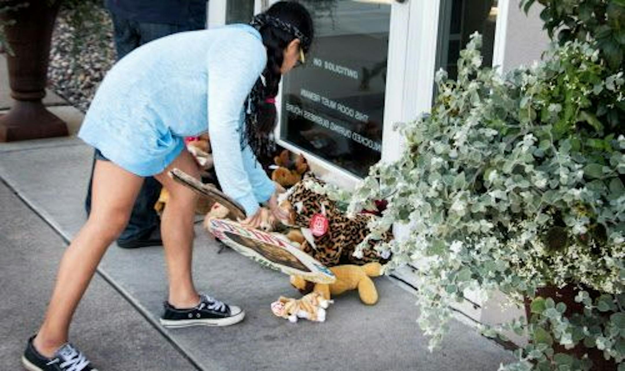 Piper Hoppe, 10, straightened out a stuffed lion placed in front of River Bluff Dental in Bloomington, the dental practice of Dr. Walter Palmer who killed Cecil, a beloved lion in Zimbabwe.