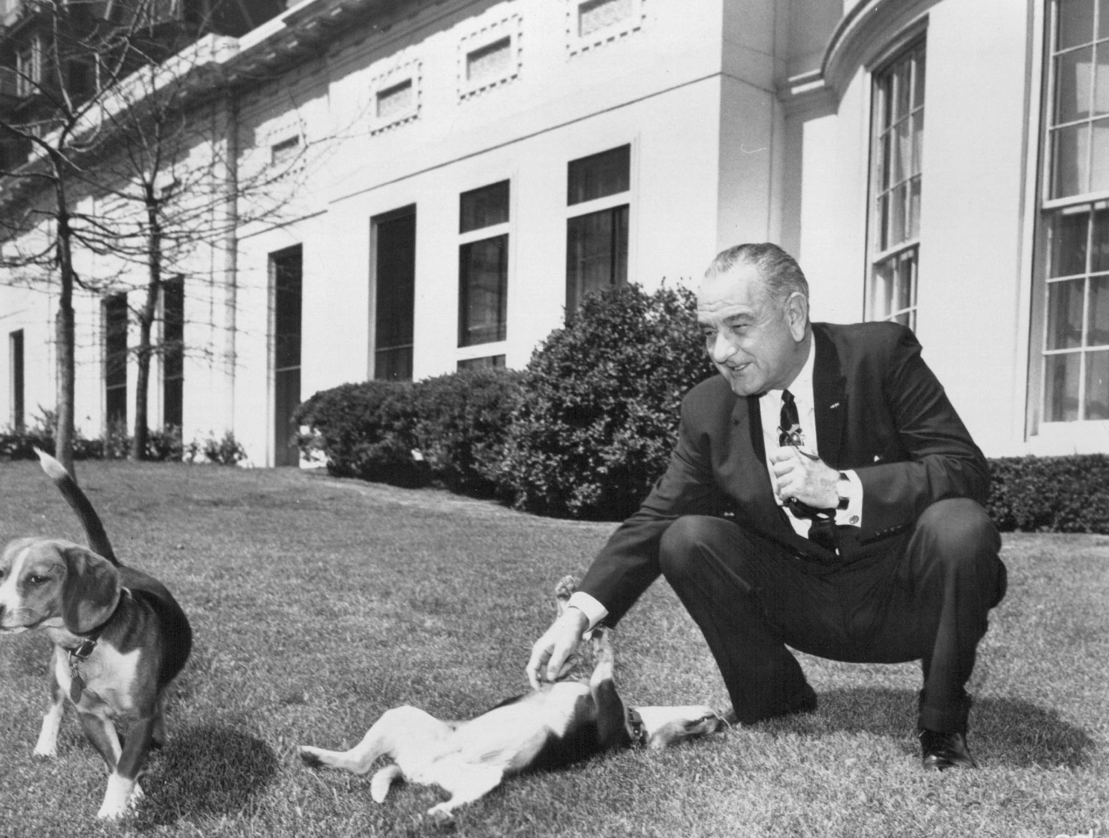 October 25, 1964 President Johnson has his beagles. Minneapolis Sunday Tribune