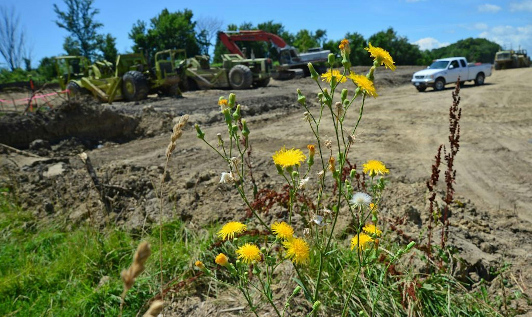Heavy machinery is clearing trees, mulching, and leveling ground Vicksburg Lane near the intersection of Vicksburg Lane and 59th Ave N...
