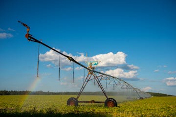 A pivot irrigation system sprayed water onto a soybean crop just south of Park Rapids in 2016.