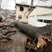 A giant tree toppled on a house at 1648 McAfee Street in St. Paul around 9:30 pm on Sunday night. Timberline Tree Service of White Bear Lake had clean
