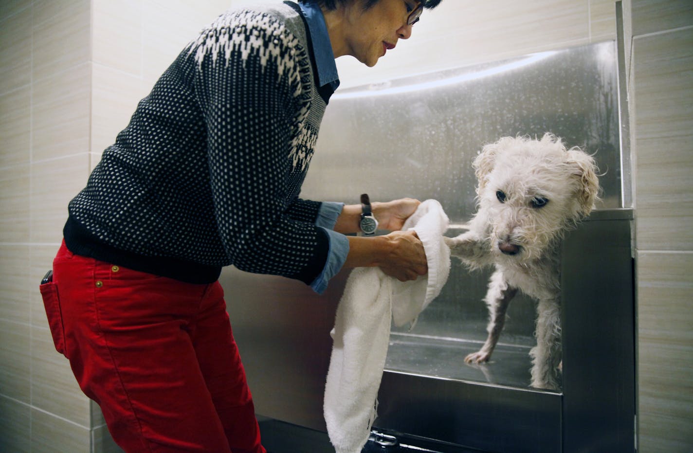 At Mill and Main apartments, Sharon Fong gave her schnoodle, Bexley, his weekly bath in the complex spa for dogs.]rtsong-taatarii@startribune.com