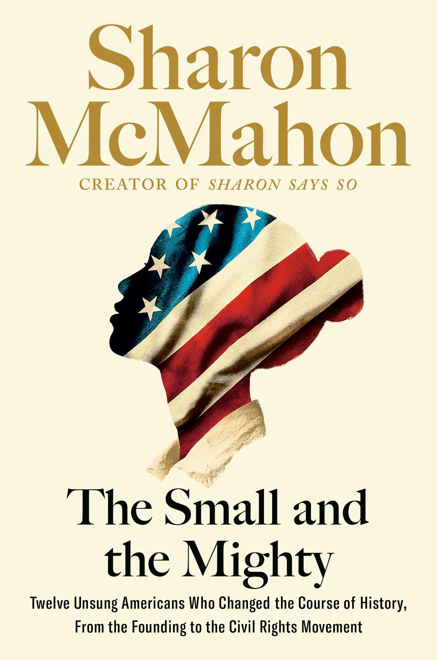 cover of The Small and the Mighty is a silhouette of a woman, filled in with an American flag