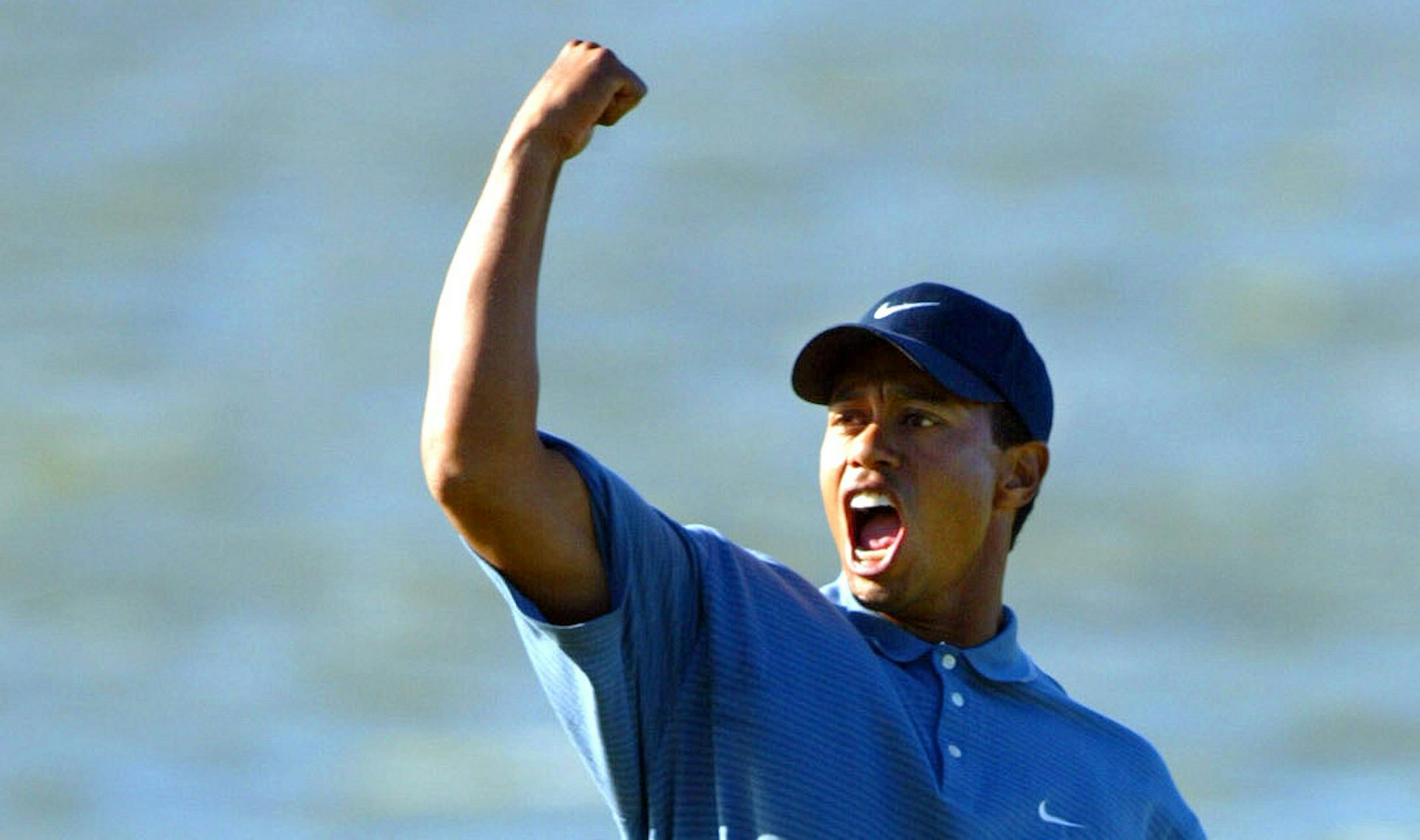 Chaska, Mn August 16, 2002 Third round play at the PGA Championship at Hazeltine. Tiger Woods pumps his fist to a cheering crowd after sinking a long putt for par on the 16th green. High winds hampered play on the 16th hole and the tee box was moved up (40 yards?)