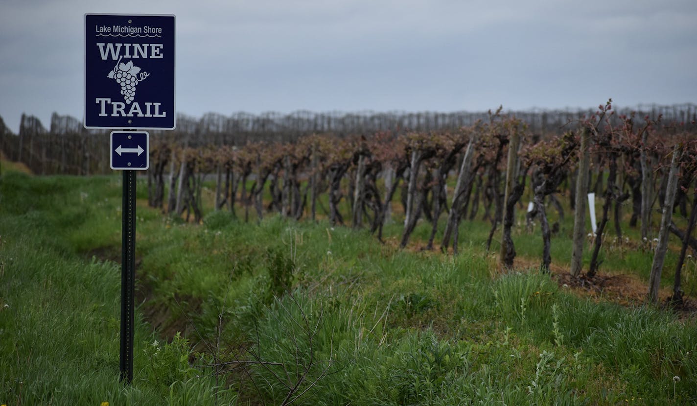 Signs mark the Lake Michigan Shore Wine Trail, a collection of 18 wineries spread across the American Viticultural Area of the same name. The area is home to even more wineries than that, since not all of them are trail members. (Lori Rackl/Chicago Tribune/TNS) ORG XMIT: 1335040