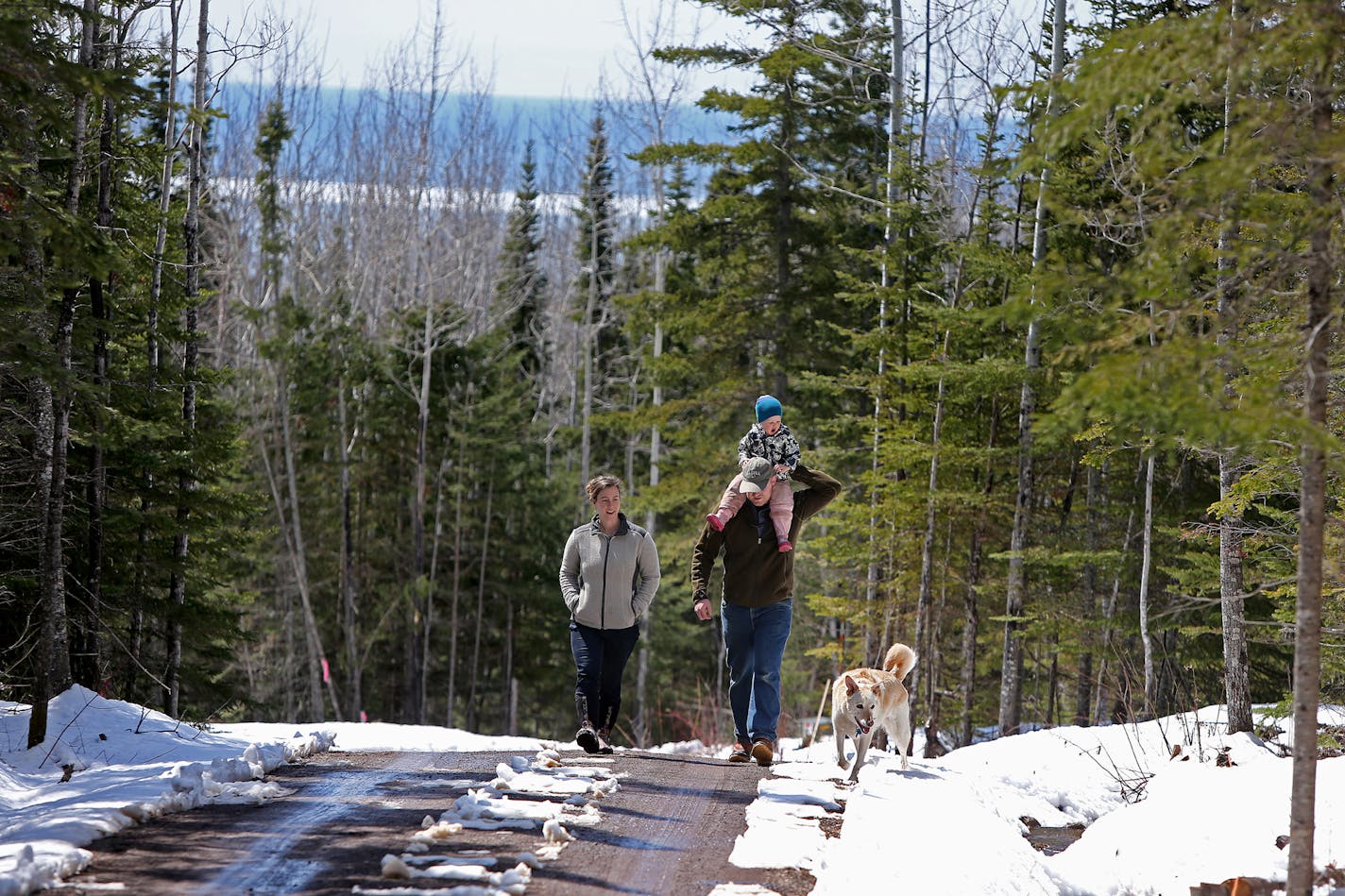 Dave and Amy Demmer and their 2-year-old daughter Penelope, and their dog "Scarlet," took a walk outside their home with views of Lake Superior, Saturday, April 26, 2014 in Grand Marais, MN. (ELIZABETH FLORES/STAR TRIBUNE) ELIZABETH FLORES &#x2022; eflores@startribune.com