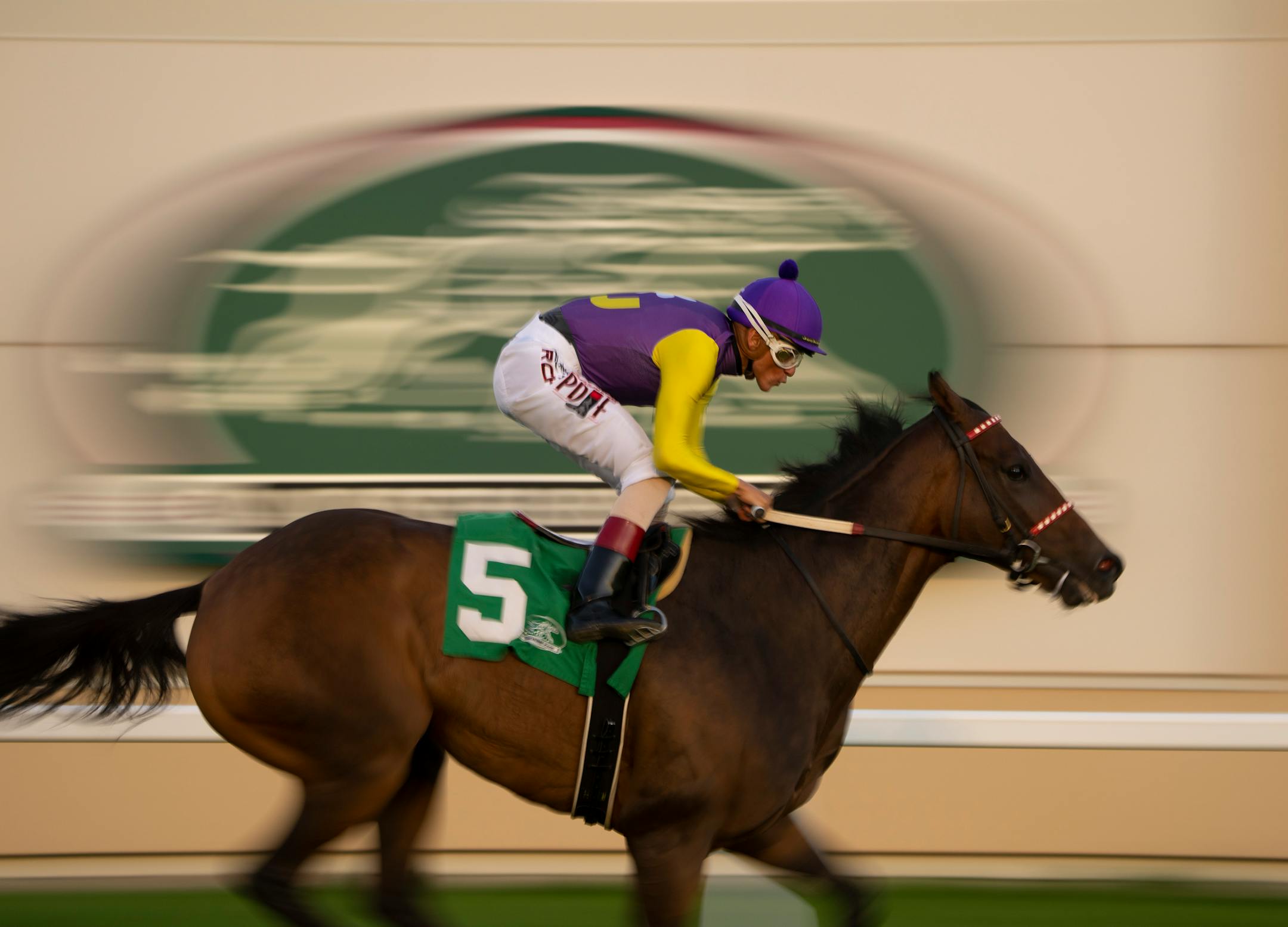 Roimes Chirinos, astride Cinco Star, the favorite, won the $100,000 Blair's Cove Minnesota Turf Championship. ] JEFF WHEELER • jeff.wheeler@startribune.com