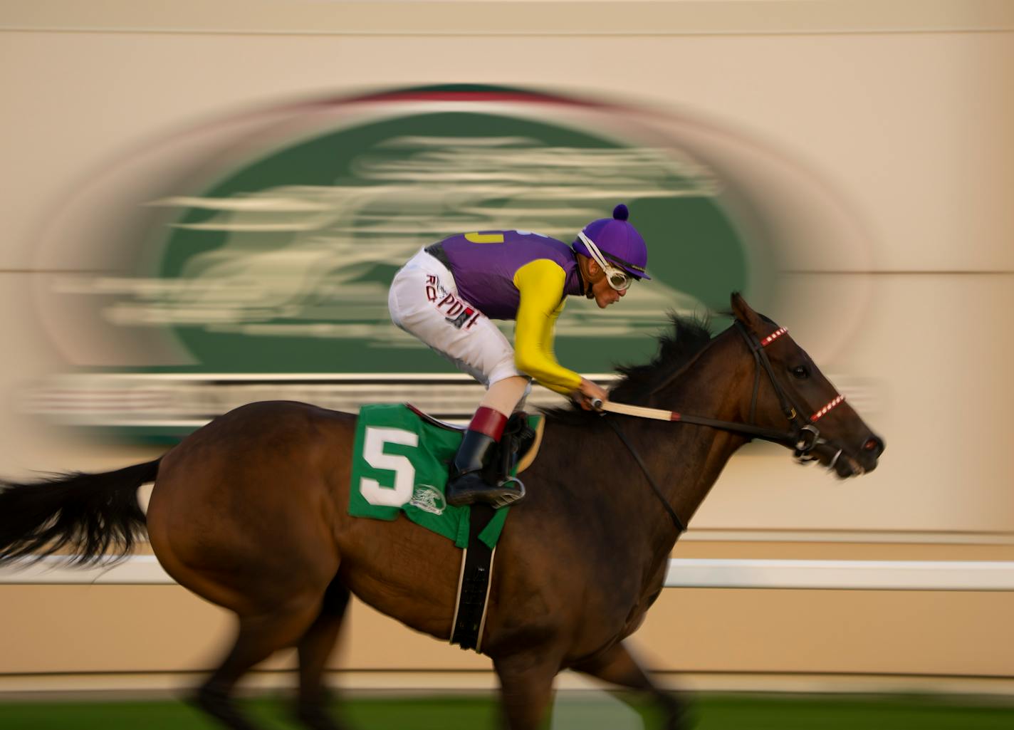 Roimes Chirinos, astride Cinco Star, the favorite, won the $100,000 Blair's Cove Minnesota Turf Championship. ] JEFF WHEELER • jeff.wheeler@startribune.com