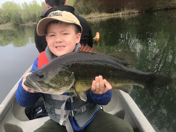 Joshua Nguyen, a 6-year old from Apple Valley, caught this 5-pound, 20-inch largemouth bass while fishing with his father on an undisclosed lake in th