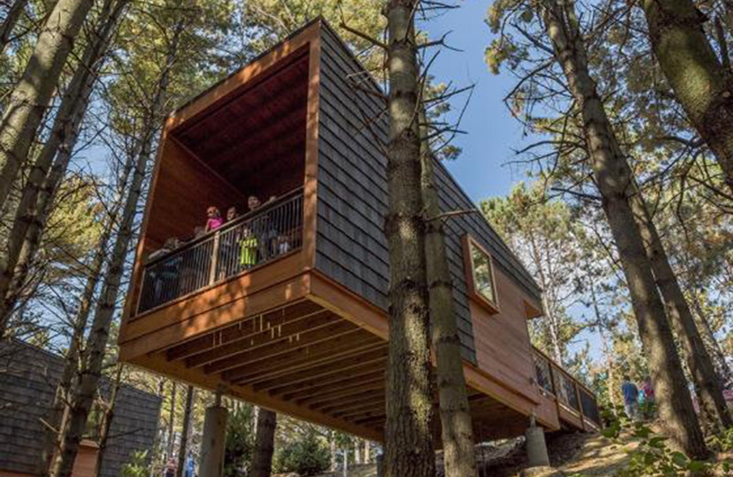 Camper cabins at Whitetail Woods Regional Park. HGA