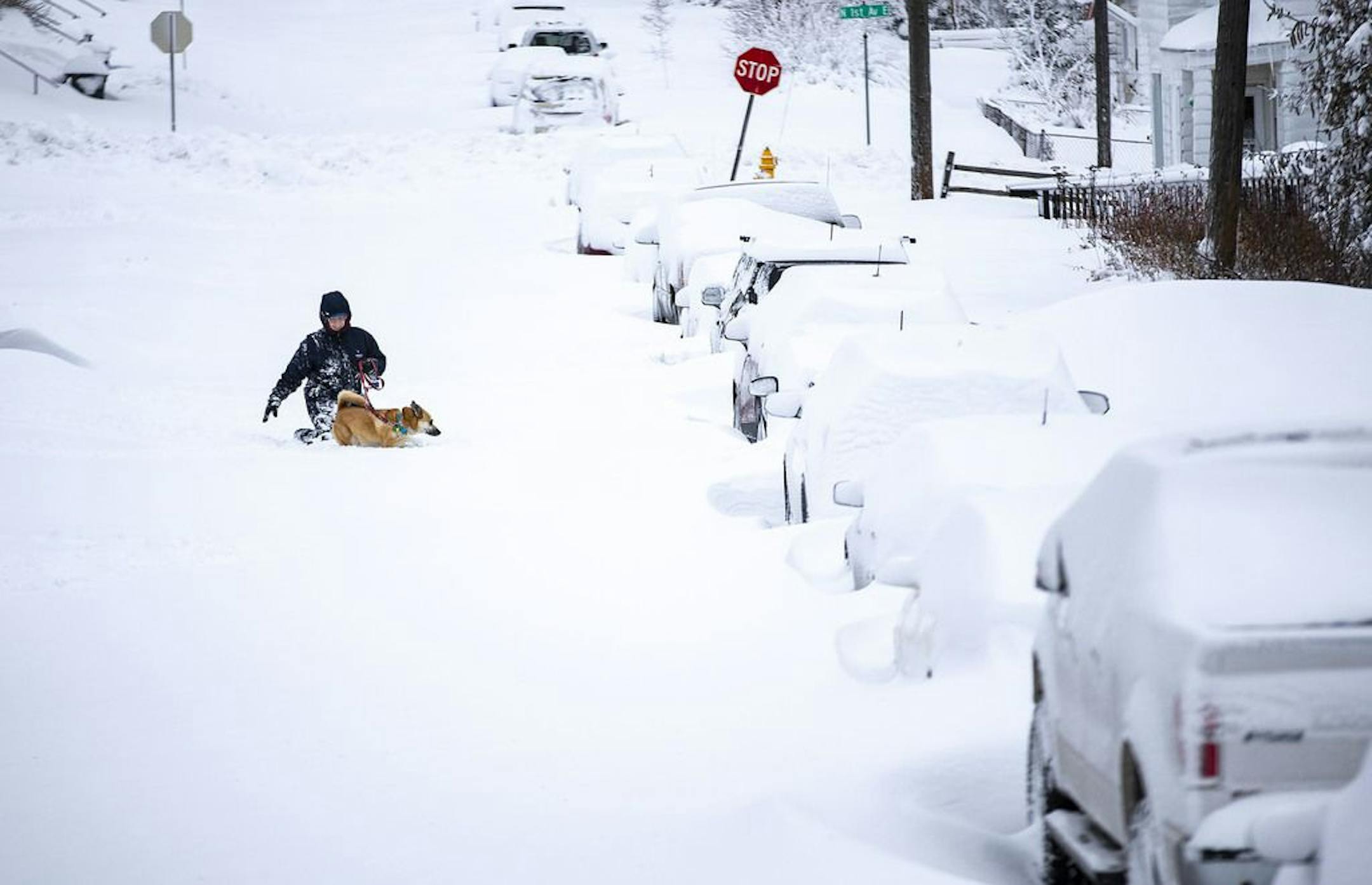 A woman attempted to walk her dog through the thick snow on E. 8th St. in Duluth following the Thanksgiving weekend storms.