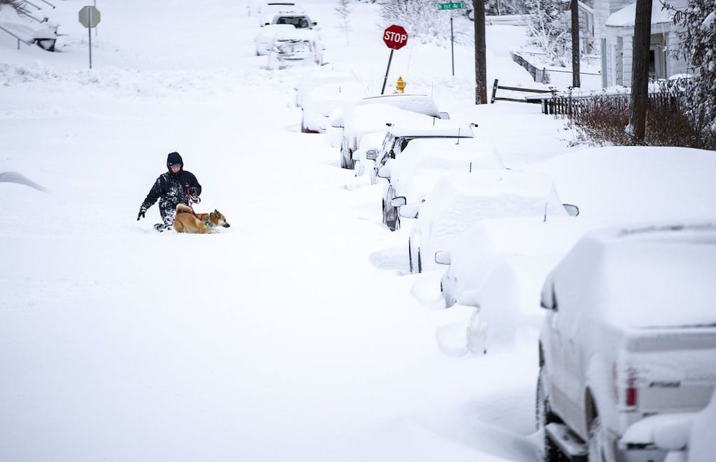 A woman attempted to walk her dog through the thick snow on E. 8th St. in Duluth following the Thanksgiving weekend storms.