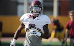 Gophers wide receiver Tyler Johnson, shown last fall, has impressed coach P.J. Fleck during spring practice.
