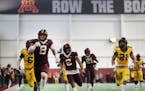 What did the Gophers learn from spring football?