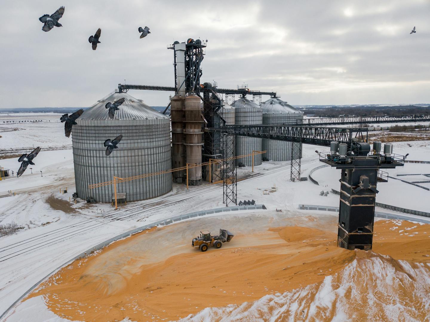 Minnesota grain elevators close at alarming rate; state fund would help
