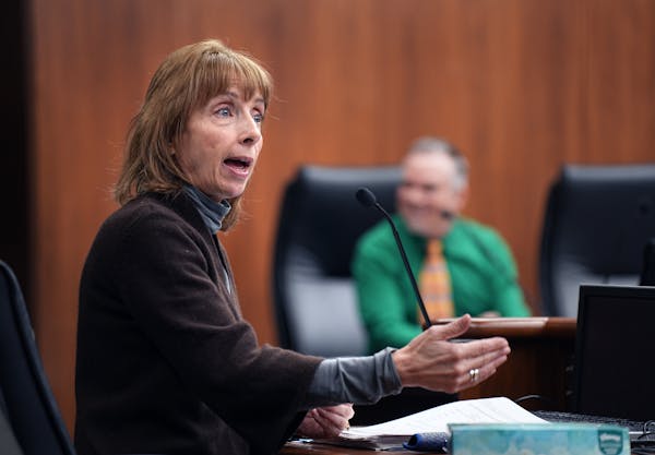University of Minnesota Budget Director Julie Tonneson sat in front of the Minnesota House Higher Education Finance and Policy Committee on Thursday t