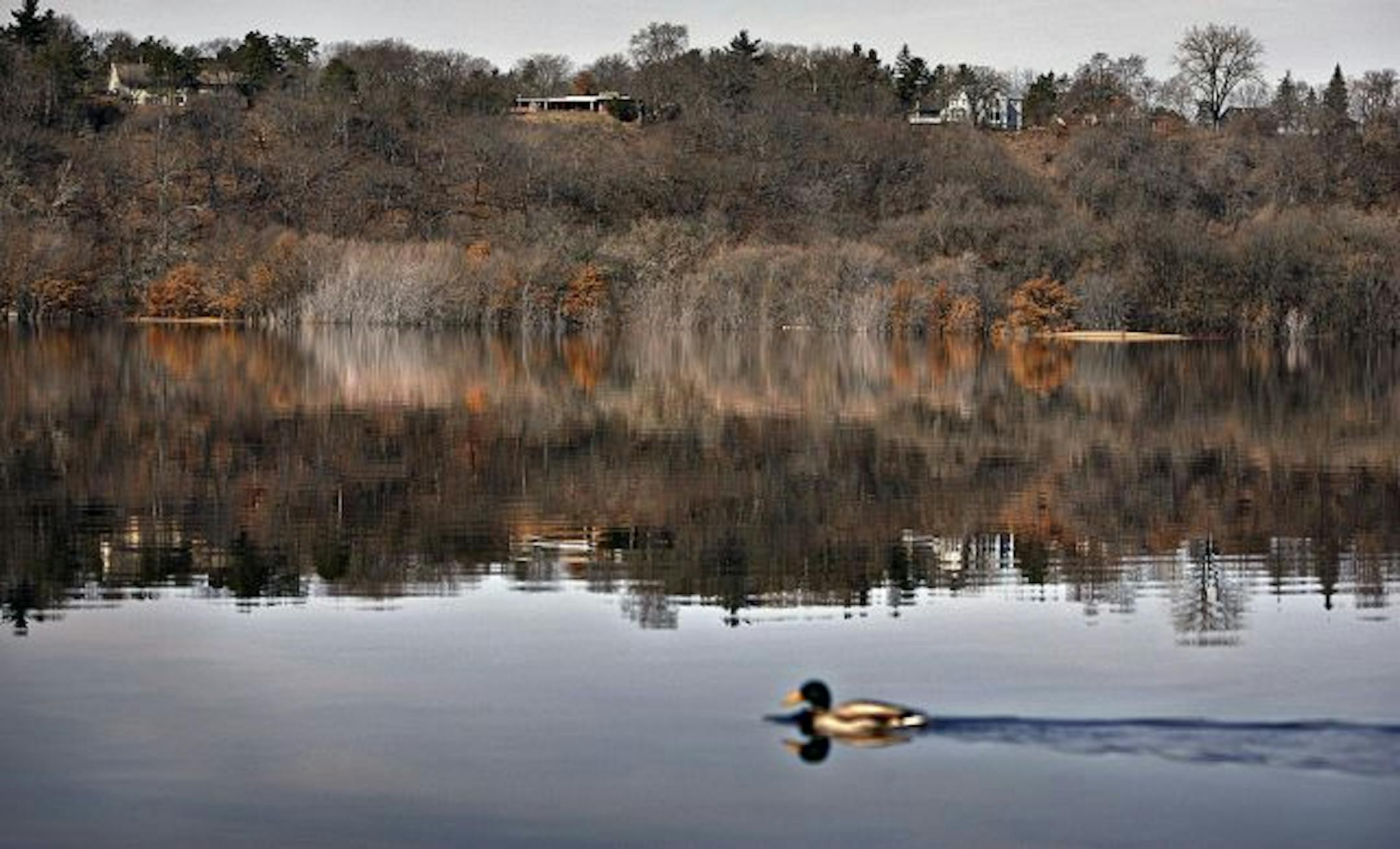 Houses overlook the St. Croix River along the west bank on the Minnesota side just north of Interstate 94.