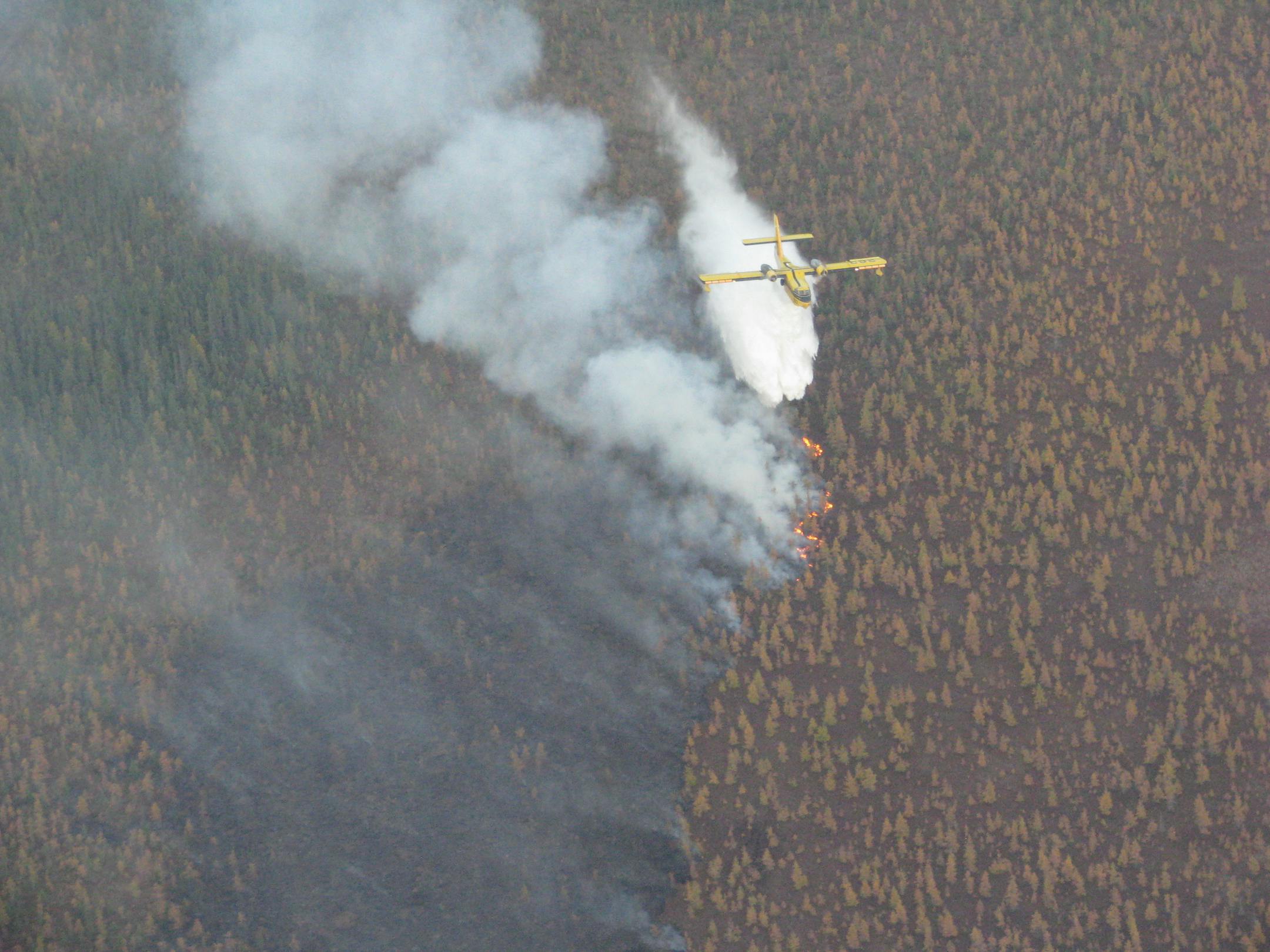 Wildfire in northwestern Minnesota.