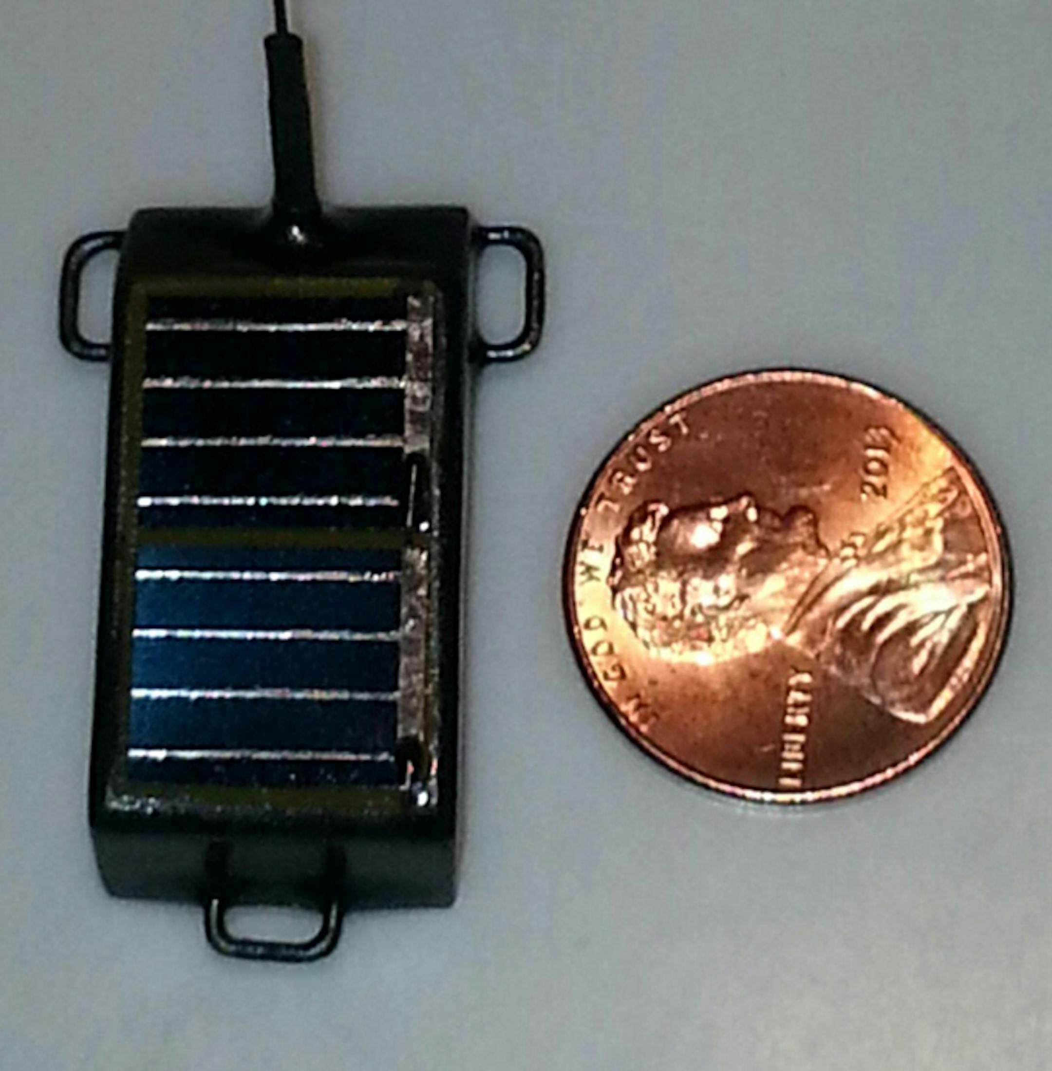 Provided
This satellite transmitter can be a light as a penny. It sends a constant signal received by earth-orbit satellites. Data collected in effect draws a map of a bird&#xed;s travel.