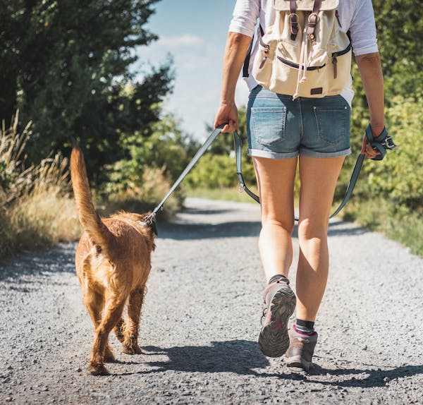 Female tourist with backpack and mixed breed dog outdoors at summer.