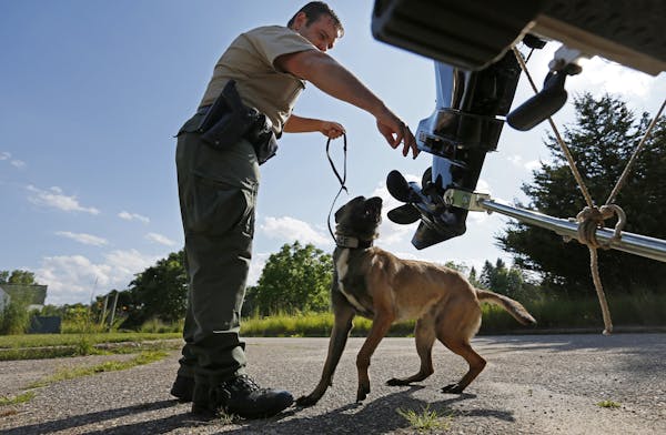 Conservation officer Travis Muyres demonstrated how his dog Laina checks for invasive species.