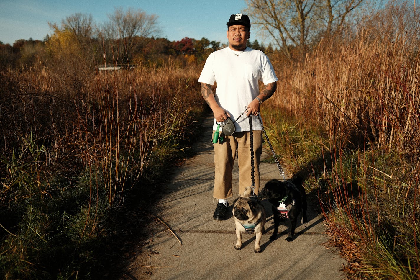 A man with tattoos on his arms and wearing streetwear holds the leashes of two pugs on a sidewalk buttressed by shrubs and tall grass.