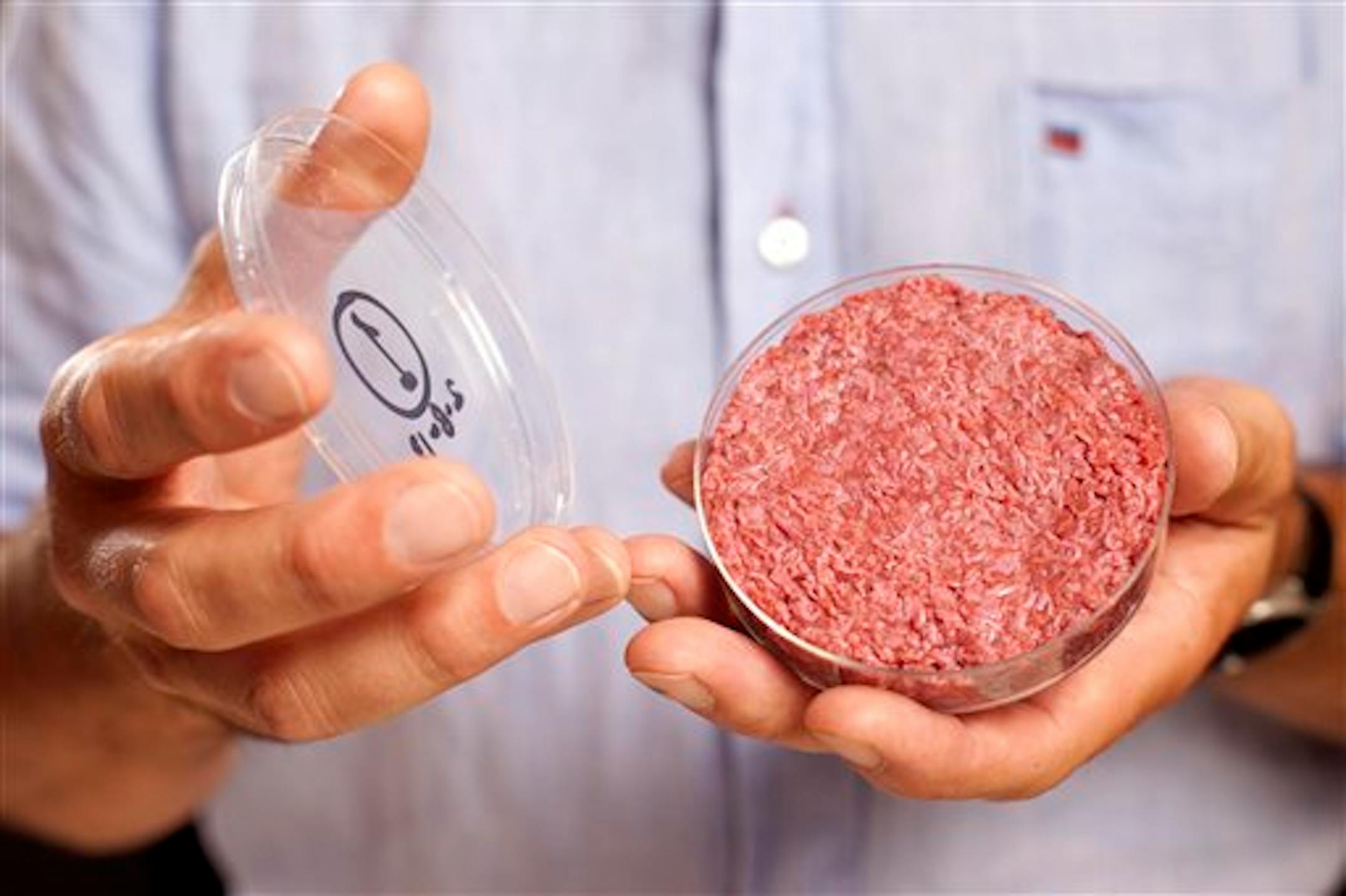 A new Cultured Beef Burger made from cultured beef grown in a laboratory from stem cells of cattle.