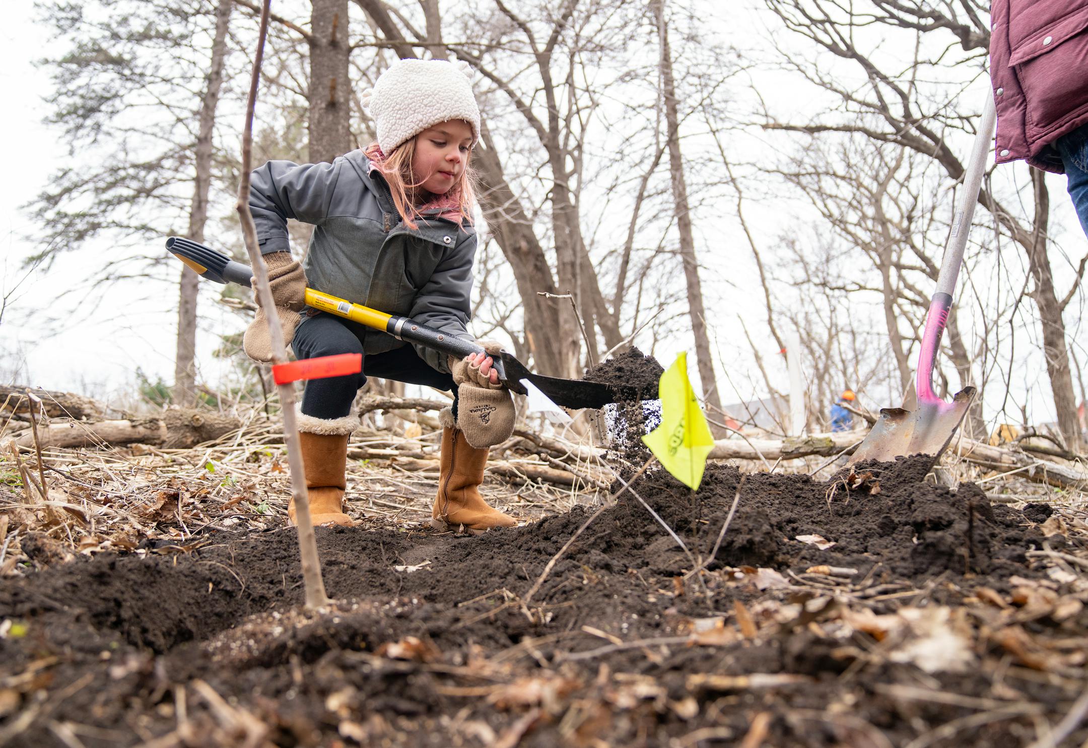 Nora Kelly, 6, helps fill dirt around an elm tree that was planted Saturday, April 22, 2023, on a Nature Hiking Trail leading to the Minnesota River in Bloomington.