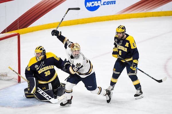 Notre Dame's Cam Morrison celebrates a goal by teammate Jake Evans, not pictured, against Michigan