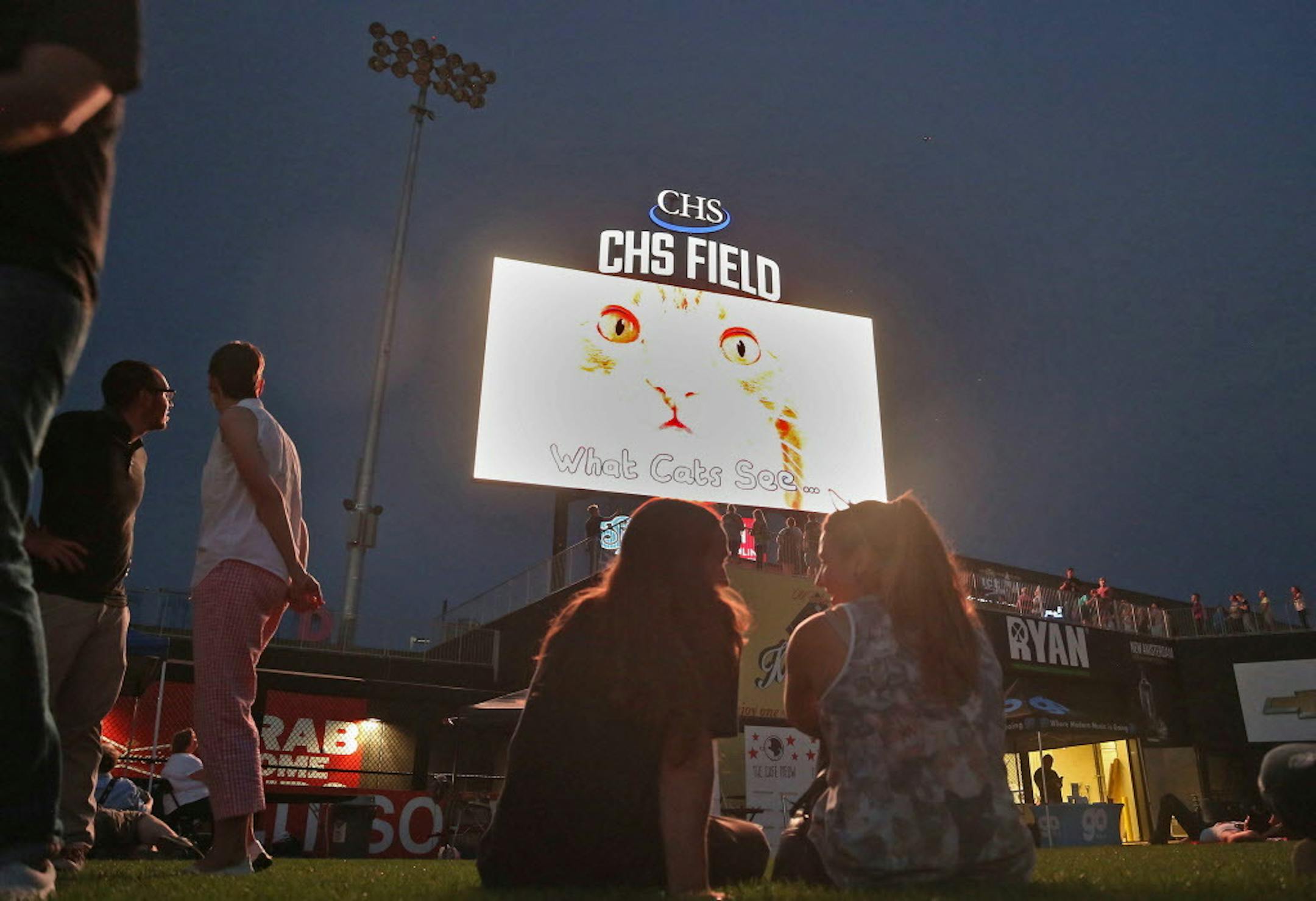 Wade Timmack, left, and Erica Steinkraus laughed as they watched cats tumble during the Cat Video Festival at CHS Field in St. Paul on August 12, 2015.