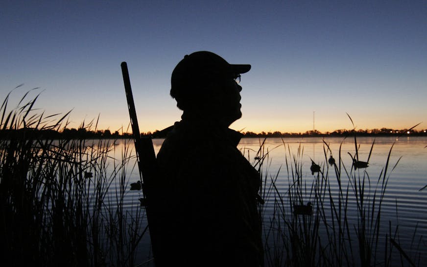 More duck hunters went afield in 2013 than the year before, continuing a a recent trend. We won't know how hunters did this season until surveys are tallied next year. ORG XMIT: MIN1308011625425523 ORG XMIT: MIN1312231233393463