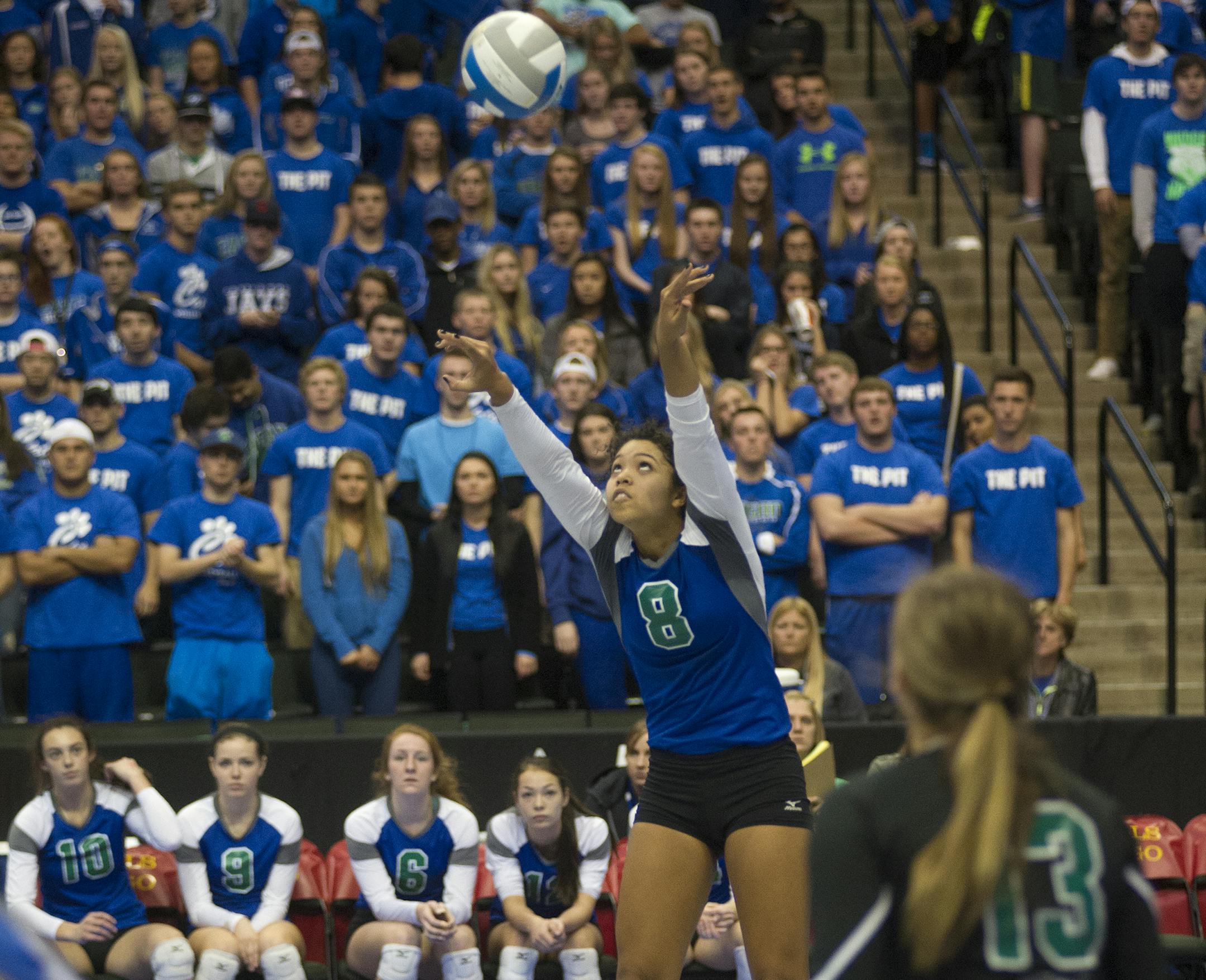 Eagan's Brie Orr sets the ball while playing Cambridge-Isanti in the Class 3A girls' volleyball state quarterfinals, Thursday, November 6th, 2014 at the Xcel Energy Center in St. Paul, MN. Eagan took Cambridge in three sets. ] (Matthew Hintz, 110714, St. Paul)
