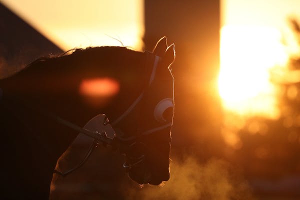 Exercise riders worked out horses in the early morning as they prepped for opening day at Canterbury.