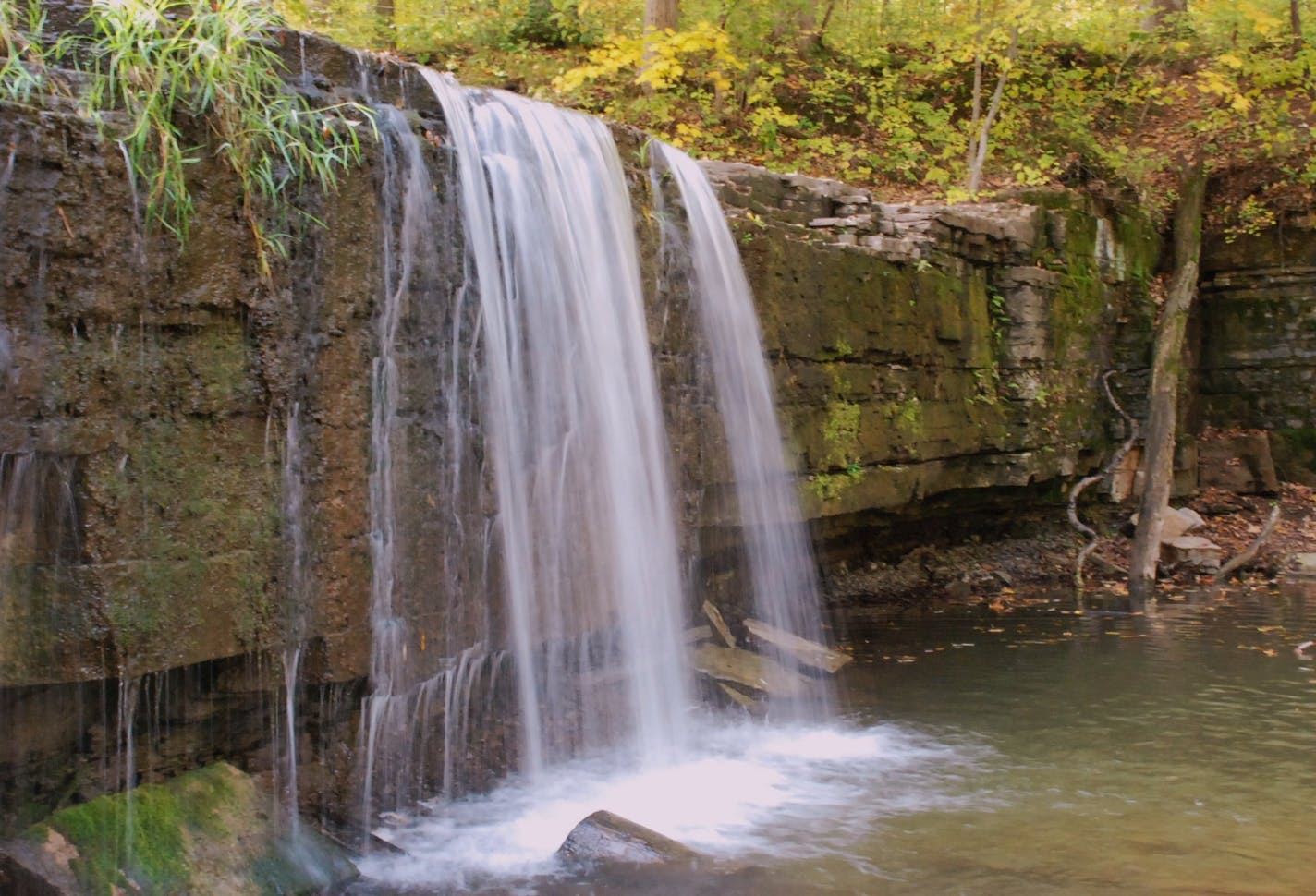 Provided by Minnesota DNR. Hiking trail at Nerstrand Big Woods State Park.