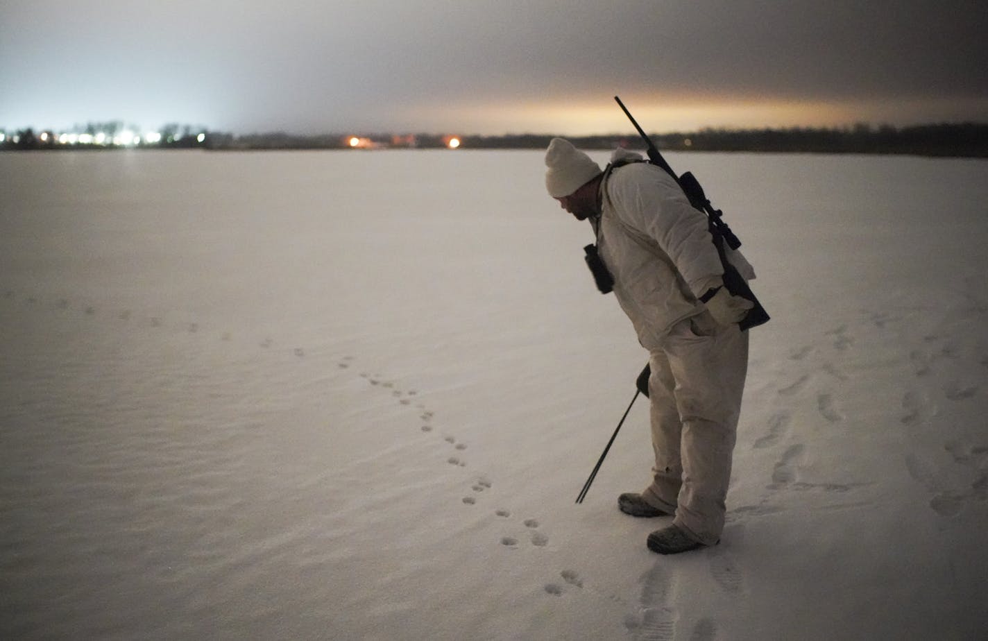 Cunning predators, evasive prey: Todd Stein found fresh coyote tracks where he and Josh Anthony began hunting late Wednesday near Montrose.