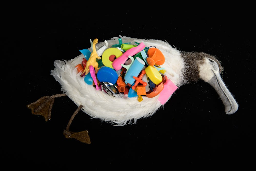 Sperl’s sculpture of a Laysan albatross shows its stomach open to reveal more than half a pound of ingested plastic items, 