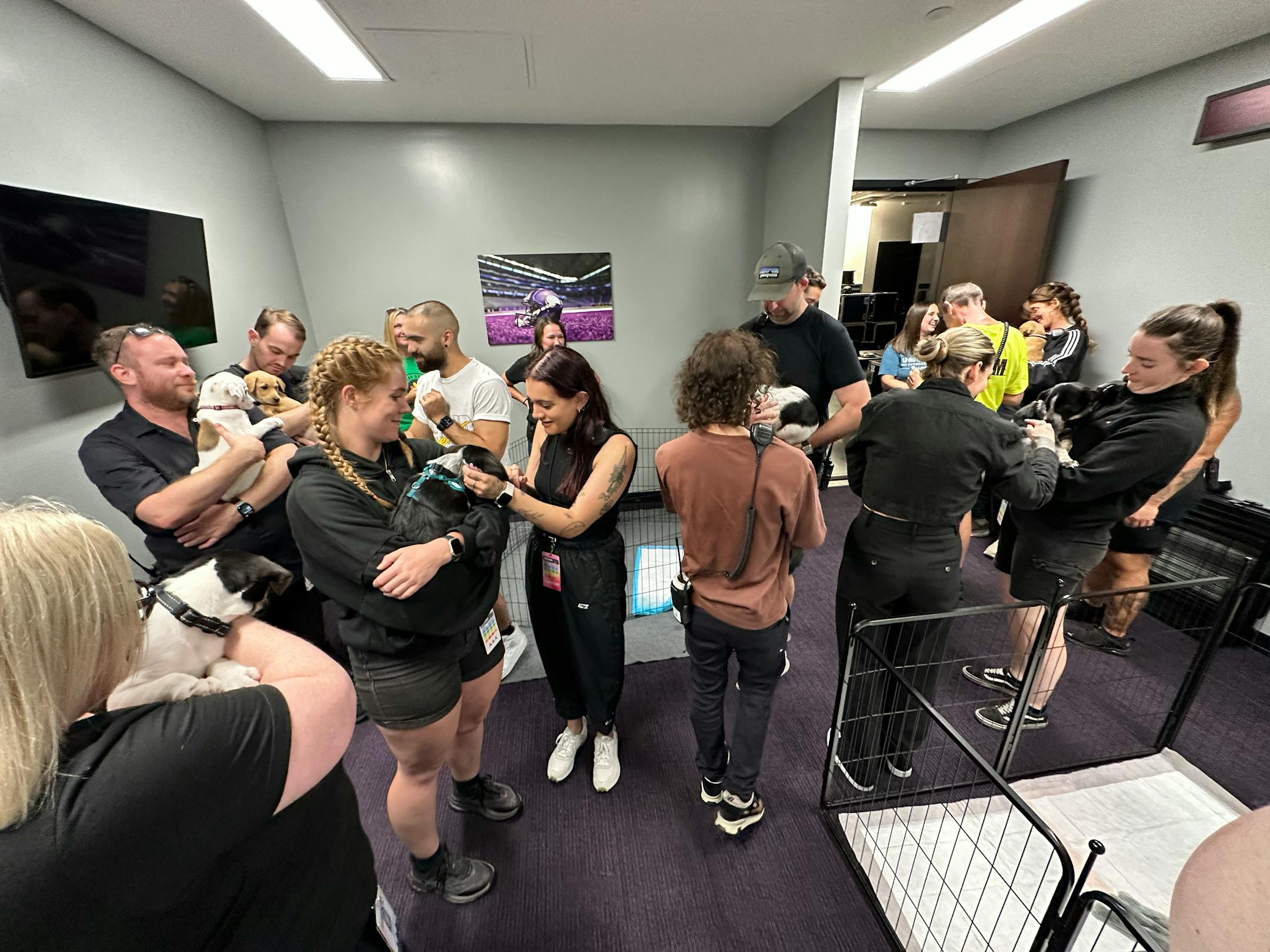 A Minnesota animal rescue group got an unusual request from crew members in town for Ed Sheeran's concert Saturday at U.S. Bank Stadium. They wanted to play with puppies. The concert workers sent a message to Princeton-based Ruff Start Rescue asking the non-profit if it could help put together a puppy party to help crew members relax before the concert.