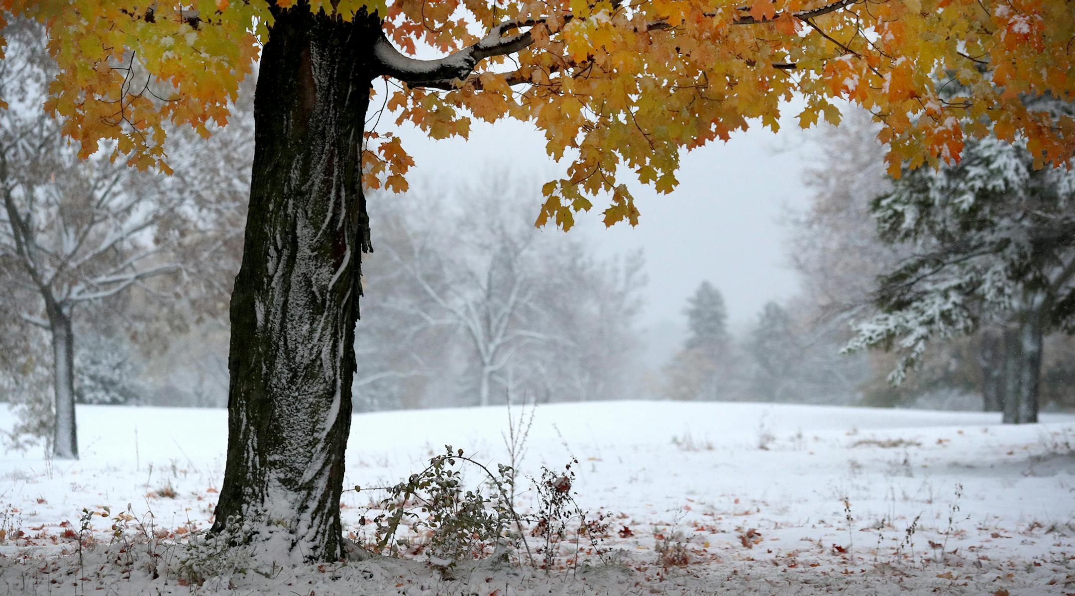 Theodore Wirth Park in Minneapolis at the end of October. The Minneapolis Park Board voted last week to allow anyone to go topless in city parks without being ticketed.