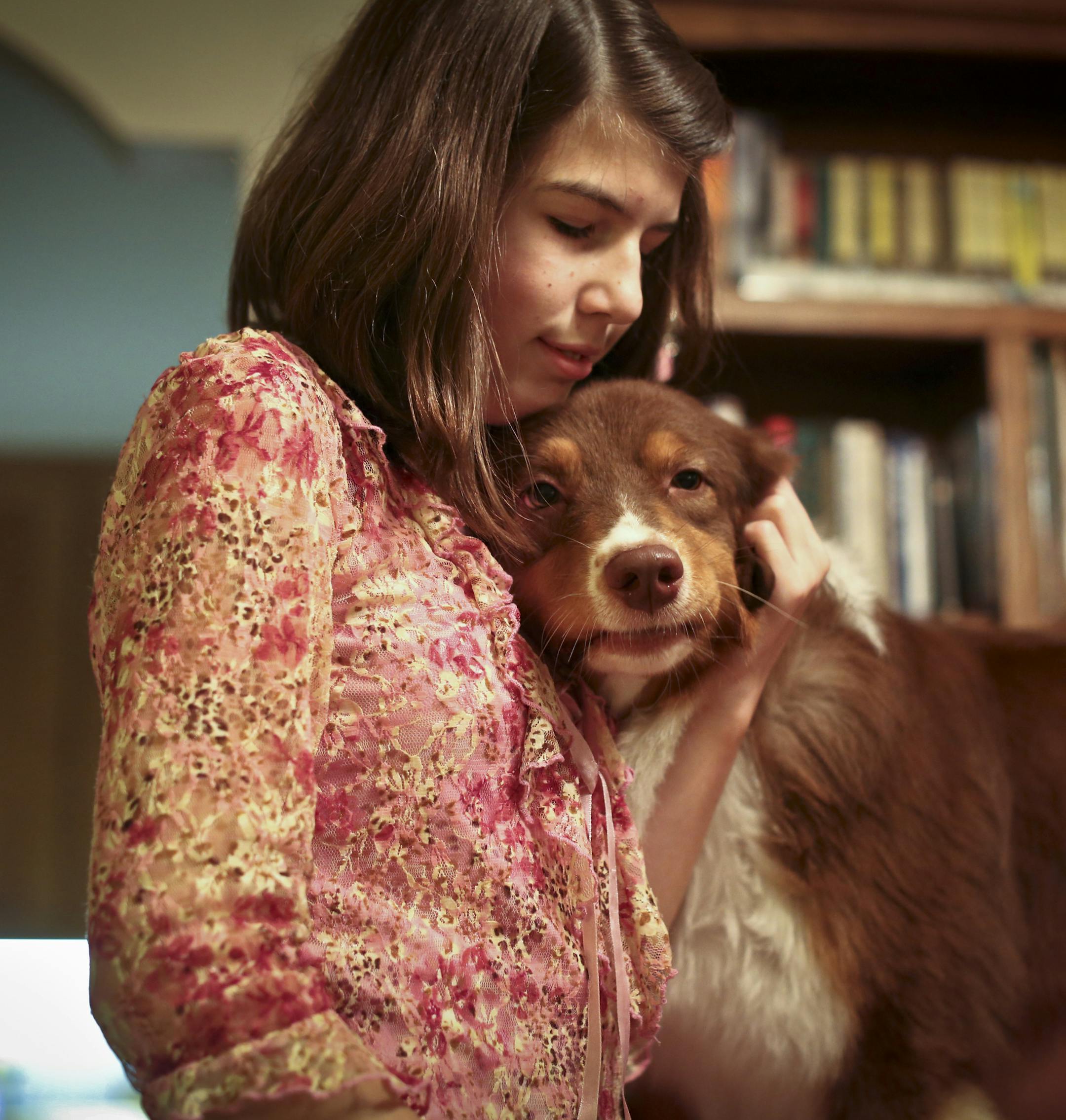 Josie Scoonover-Nelson,13, grooms her dog Fannie, an Australian Shepard, at home on Tuesday, November 12, 2013 in Eden Prairie, Minn. ] RENEE JONES SCHNEIDER ‚Ä¢ reneejones@startribune.com