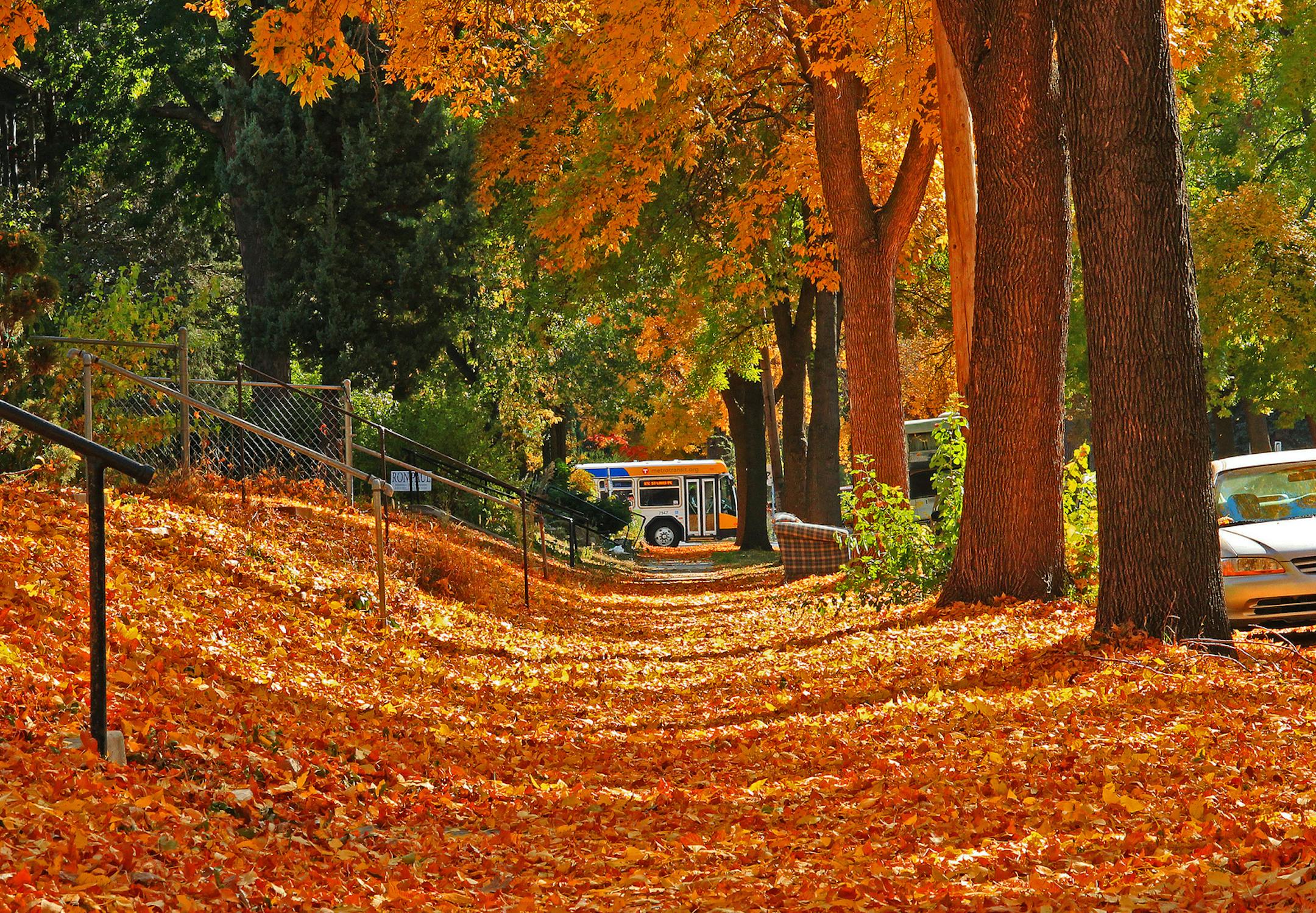 Shot at 22nd and Pleasant Ave, Minneapolis. By Franklin Adams.